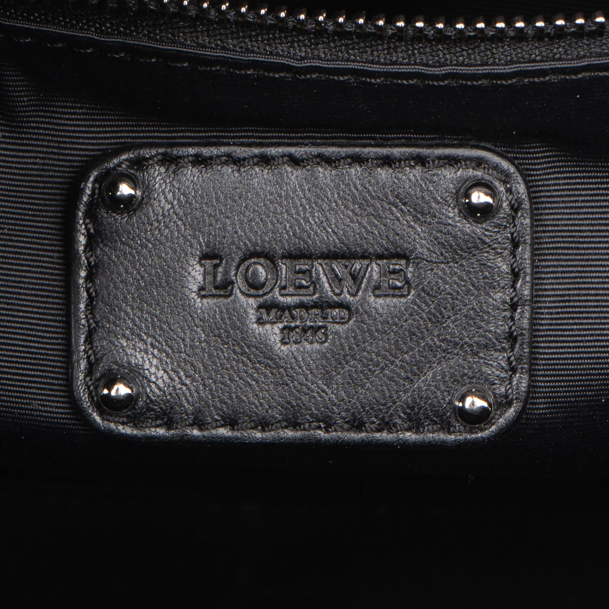 Loewe Bicolor Amazona Handbag