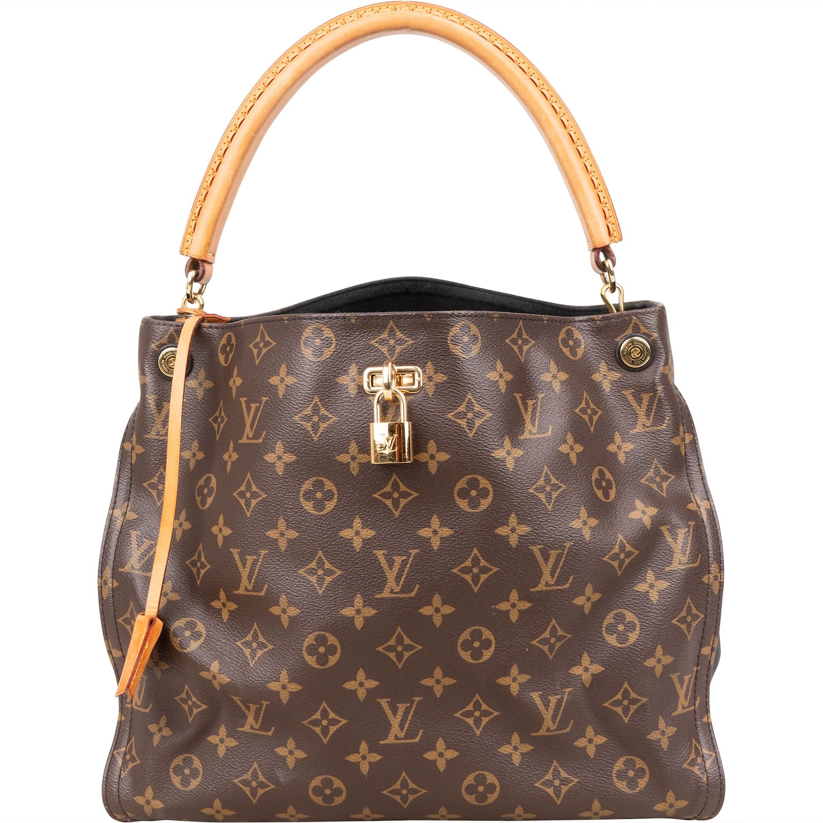 Louis Vuitton Monogram Canvas Gaia Handbag