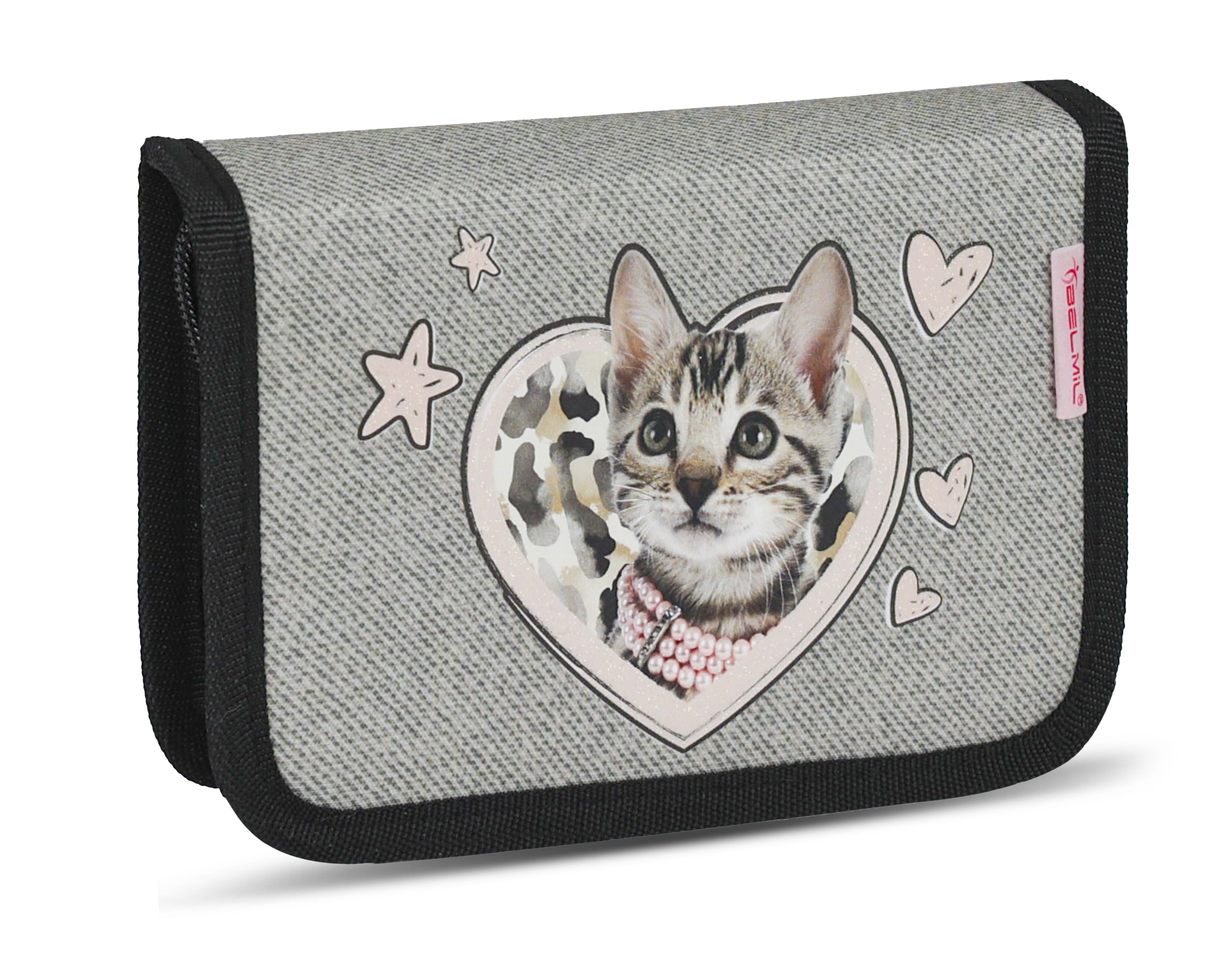 Classy Schulranzen Set 4-teilig mit Brustgurt - Wild Cat