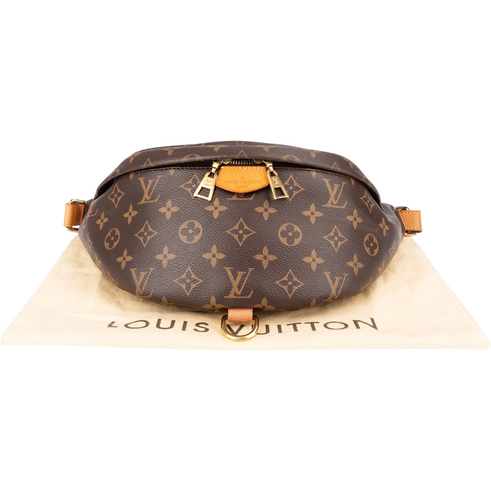 Louis Vuitton - Bumbag Crossbody Bag