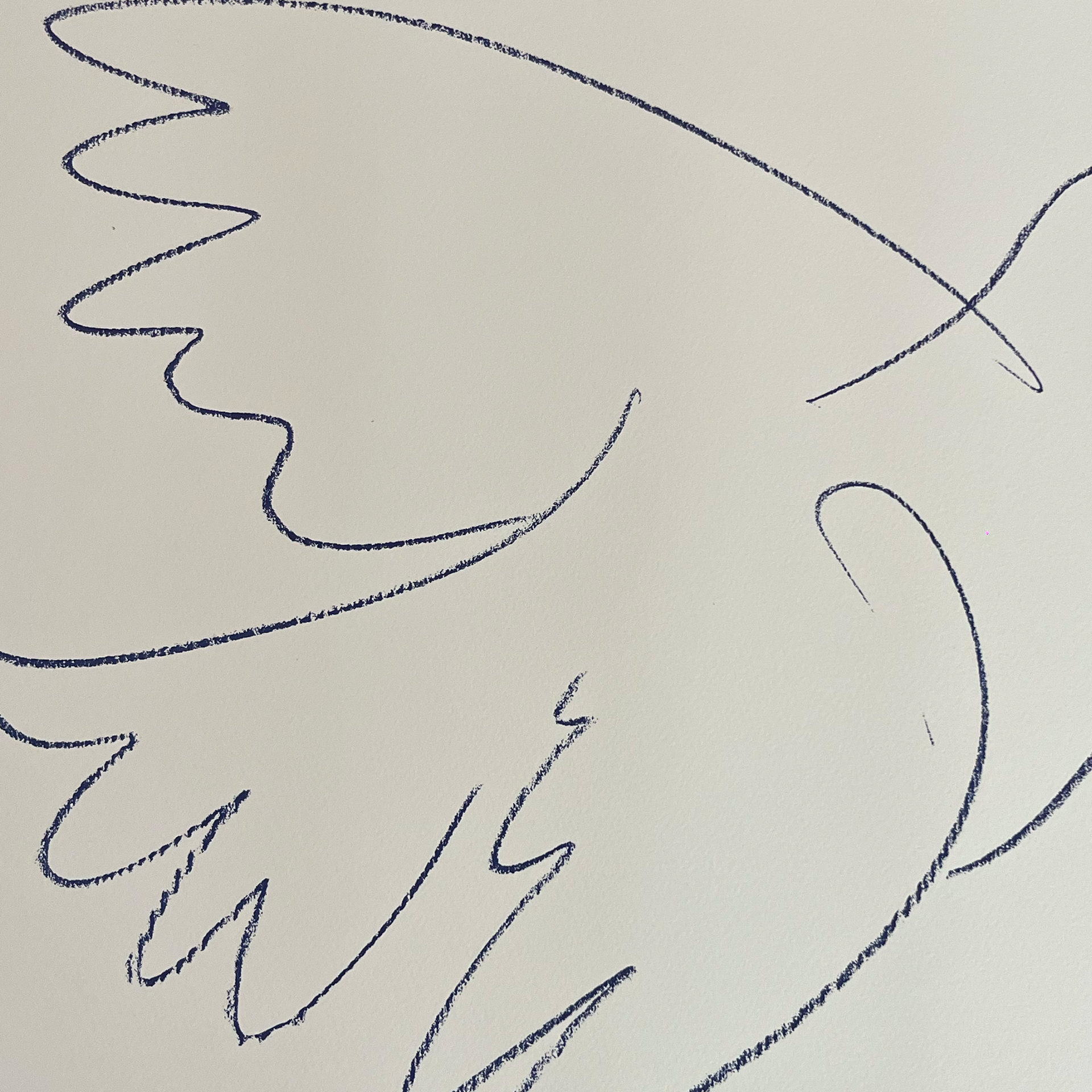 Pablo Picasso  - La Colombe de la Paix