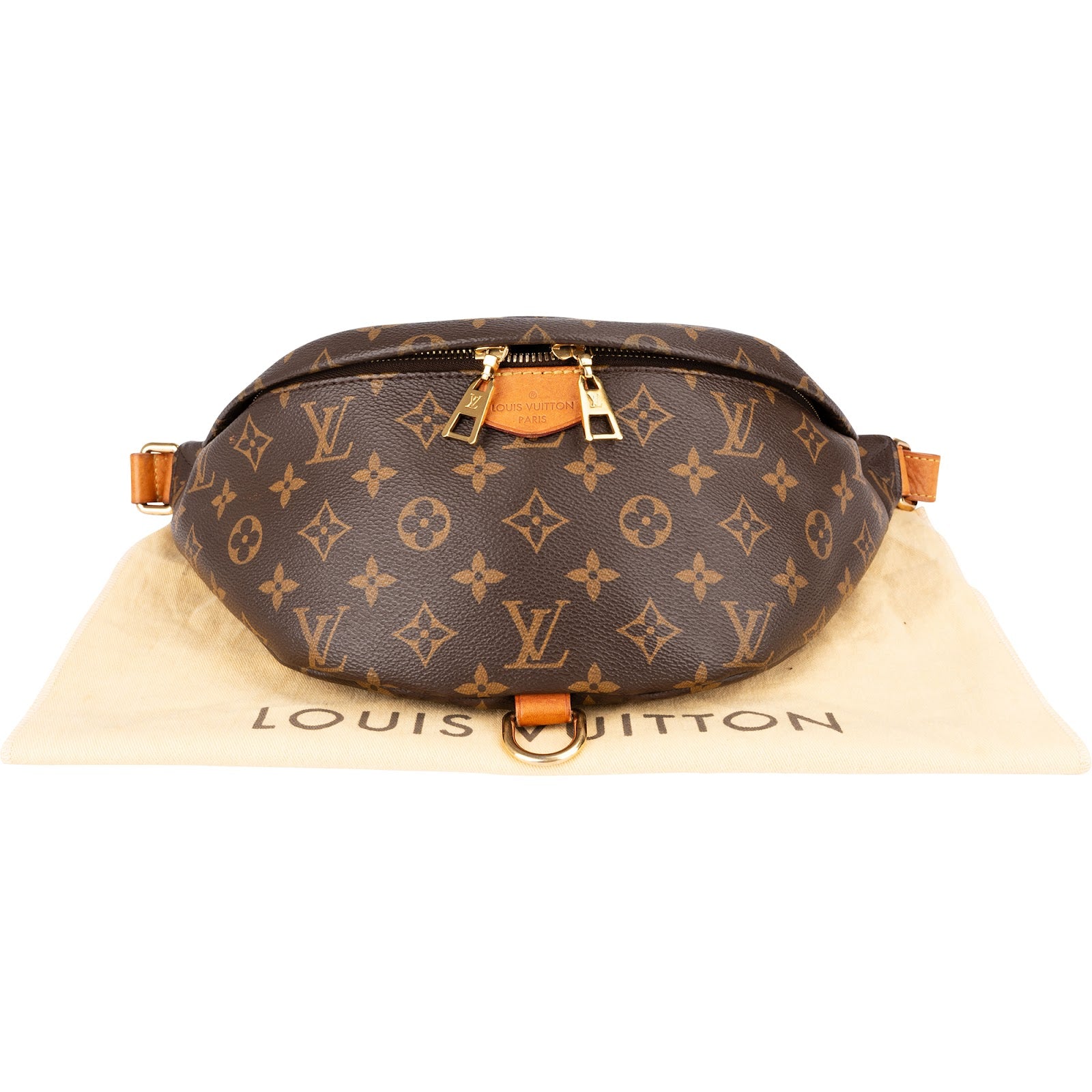 Louis Vuitton - Bumbag Crossbody Bag