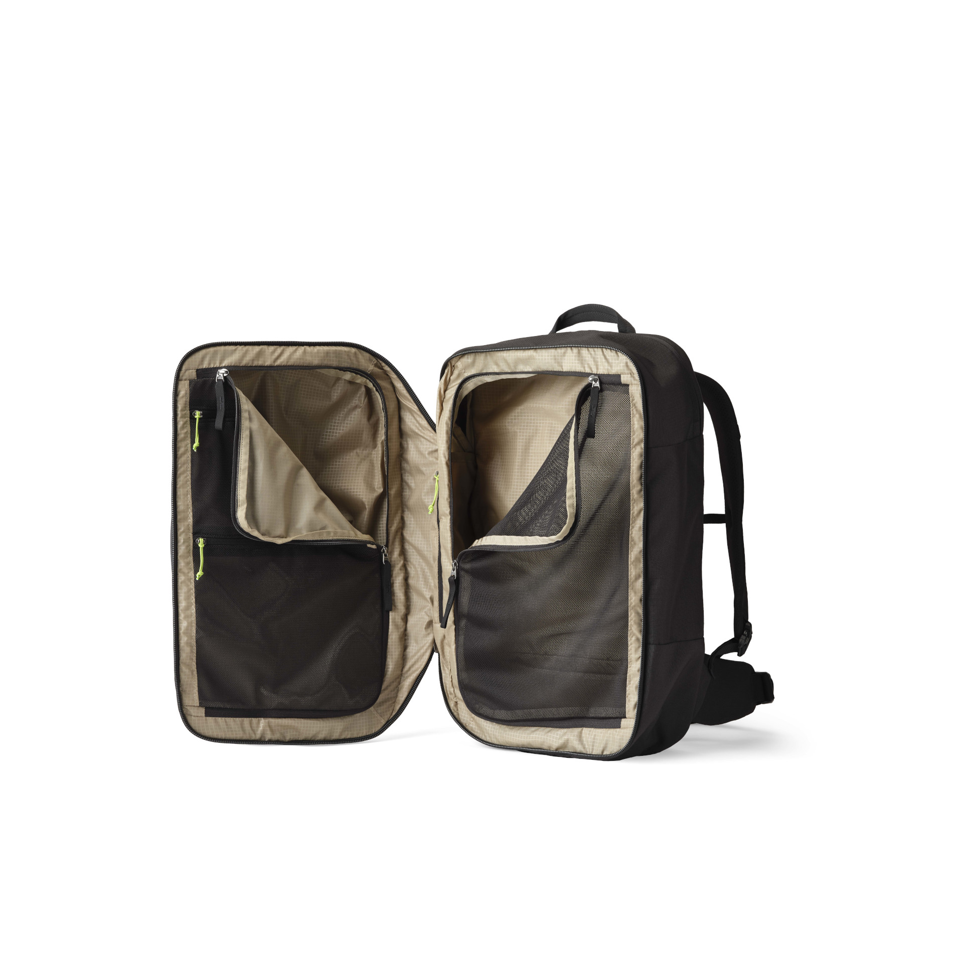 BORDER 40 - BLACK LICHEN