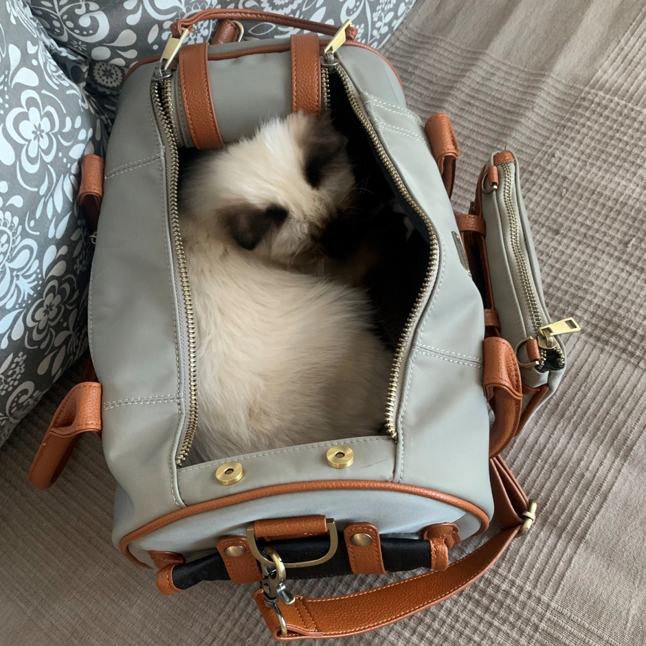 MERÏKH -Tiertransportbox S - Beige