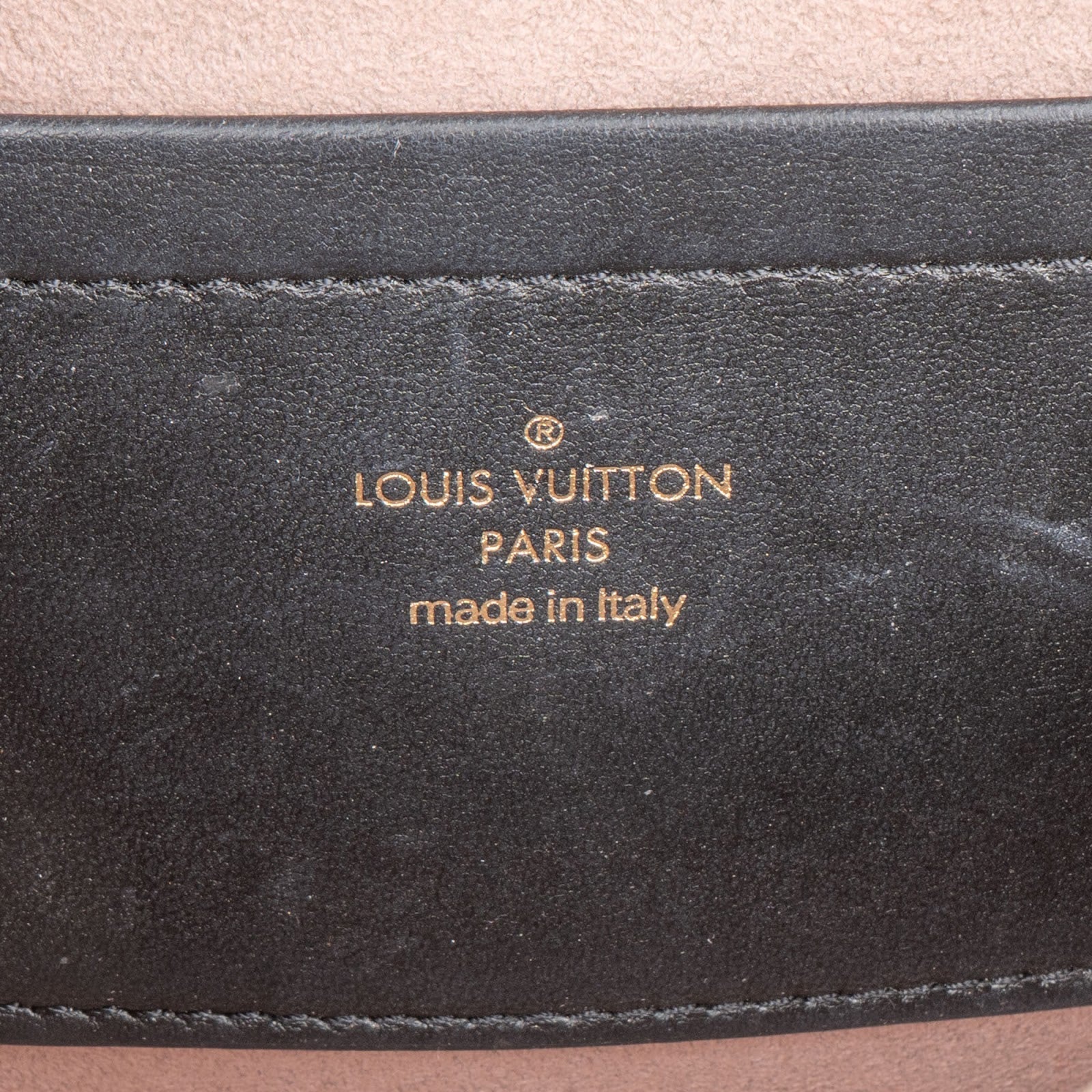 Louis Vuitton Bubblegram Monogram Lambskin Coussin Crossbody Bag