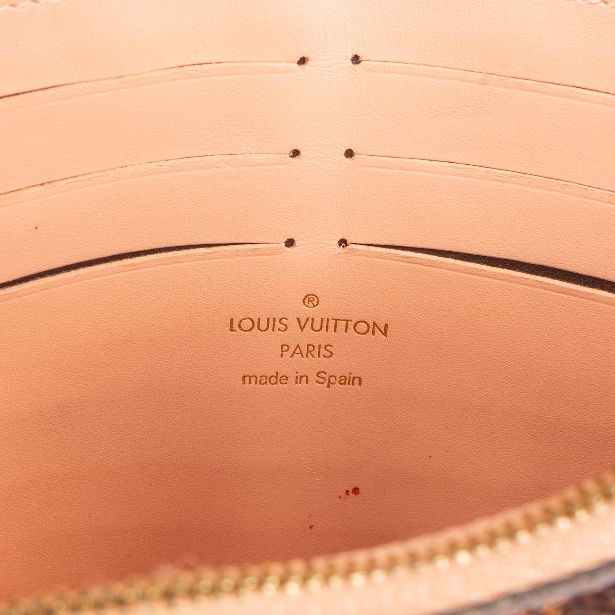 Louis Vuitton Damier Ebene Monogram Vavin Chain Crossbody Bag