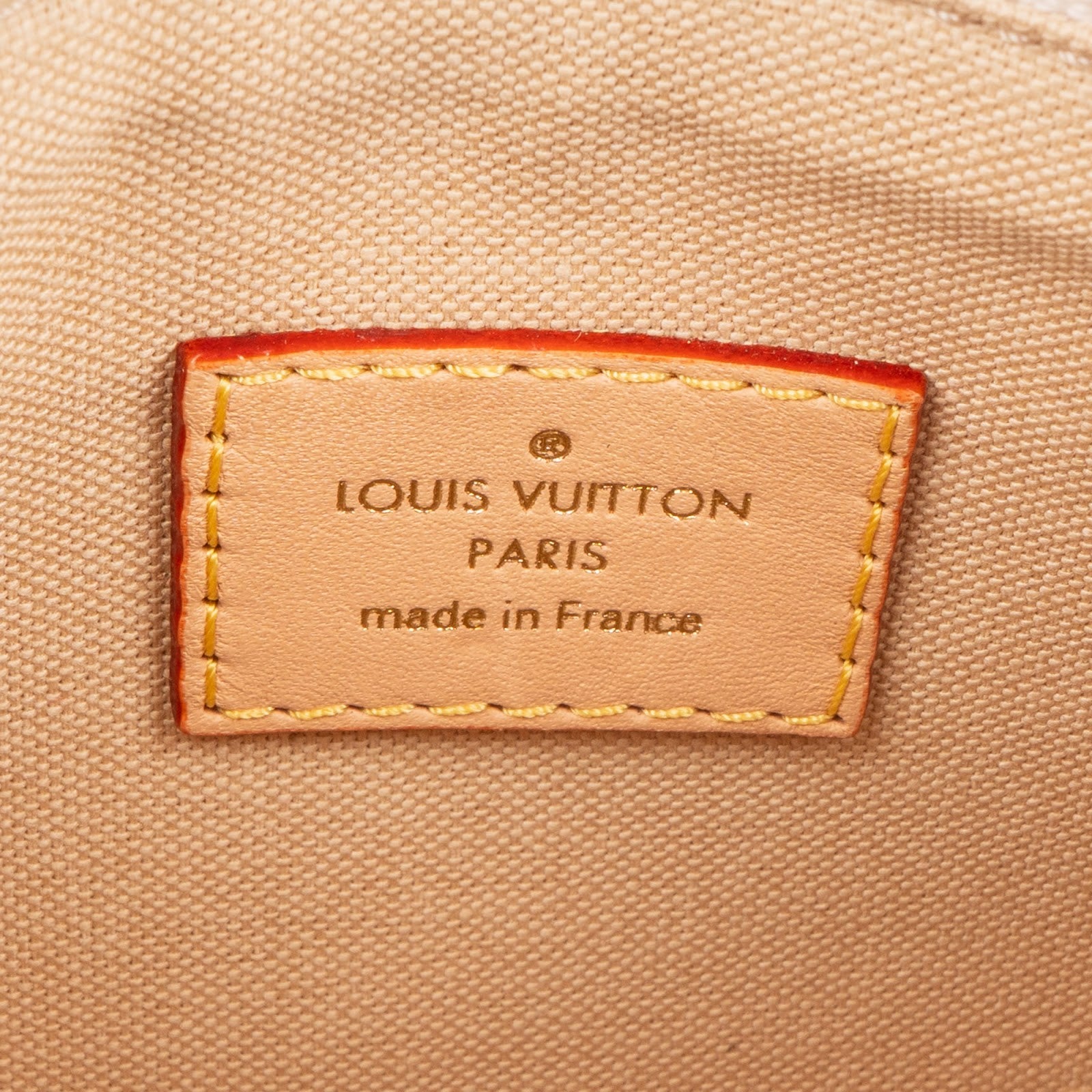 Louis Vuitton Monogram Mini Lin Hills Pochette Accessoires Handbag