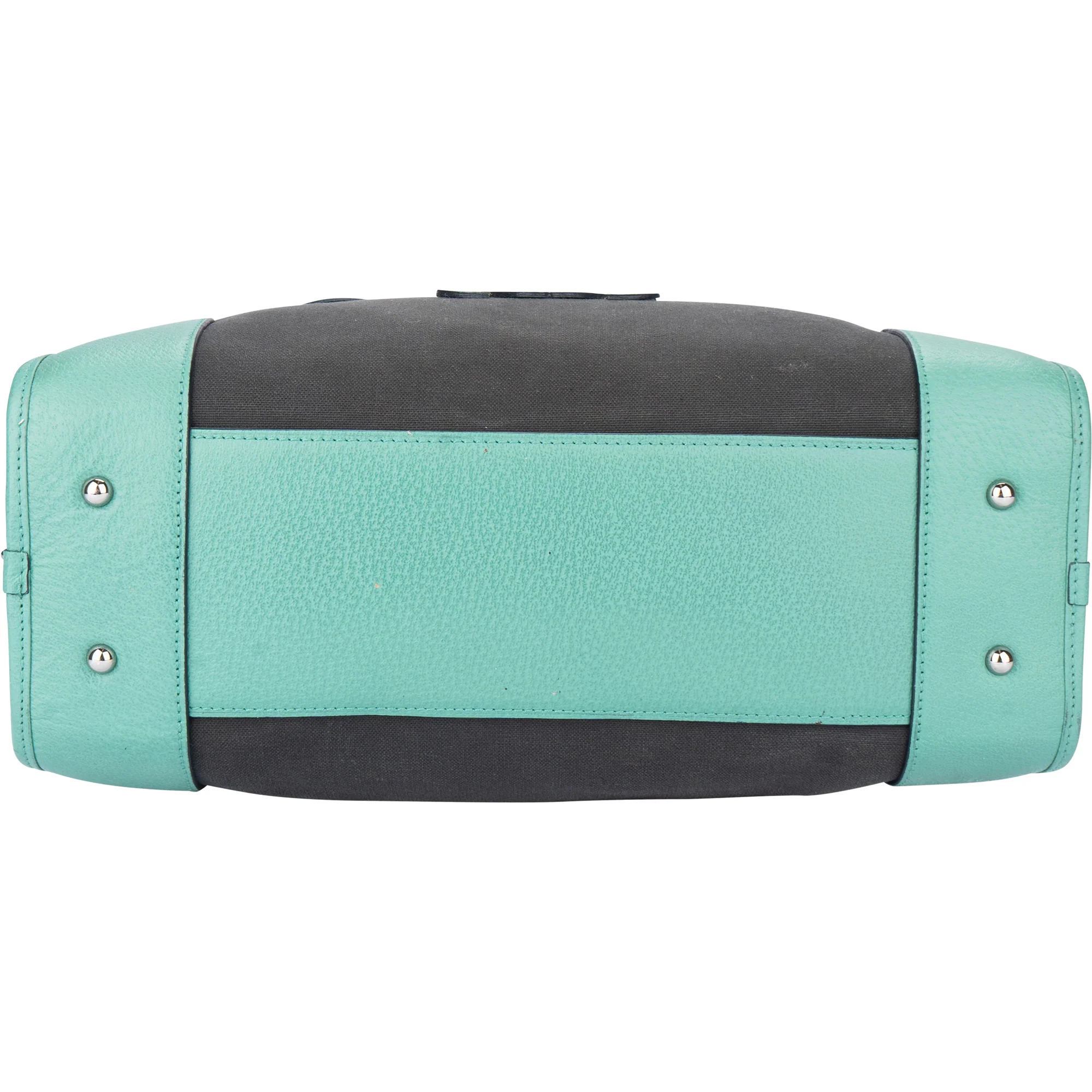Loewe Bicolor Amazona Handbag