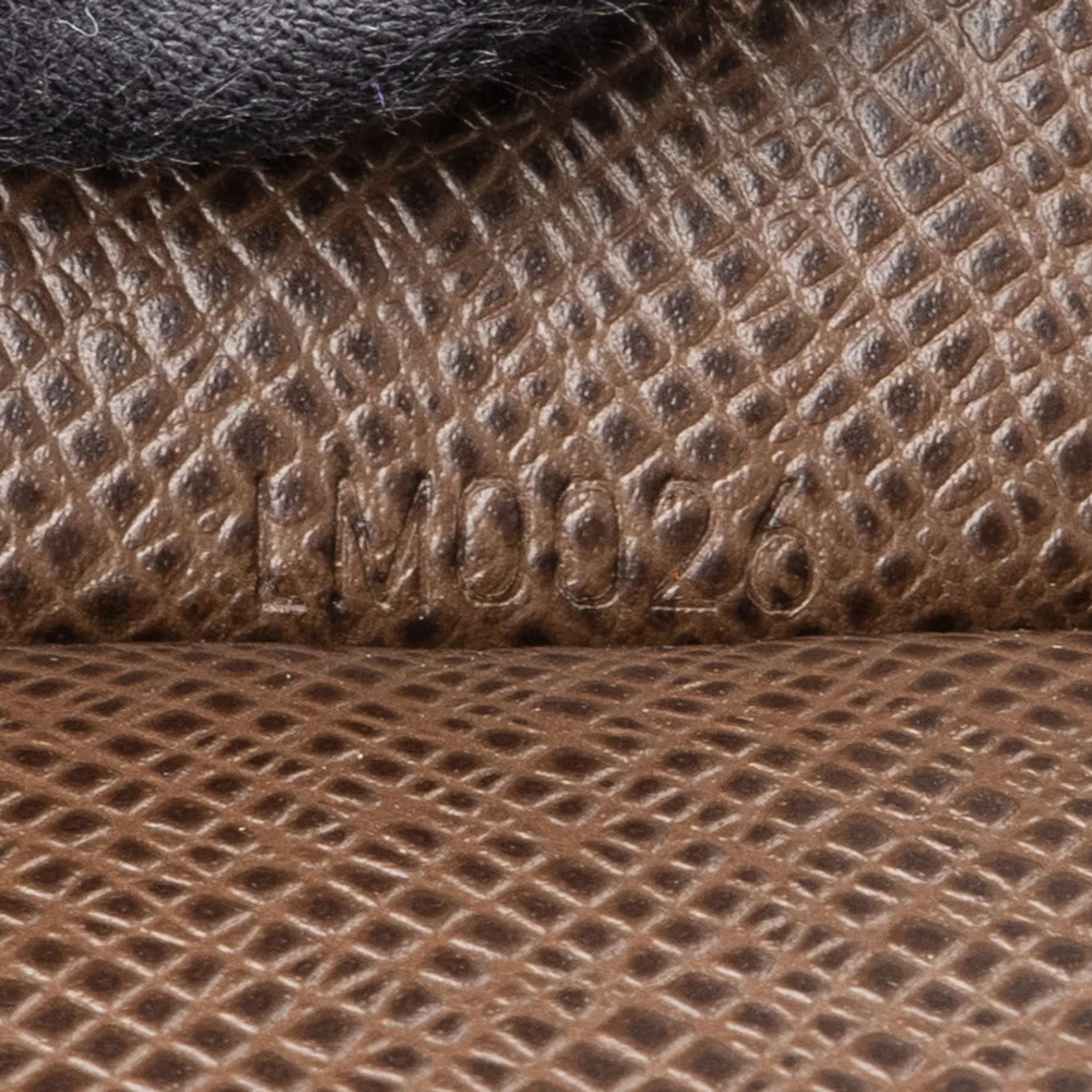 Louis Vuitton Brun Taiga Leather Kulturbeutel