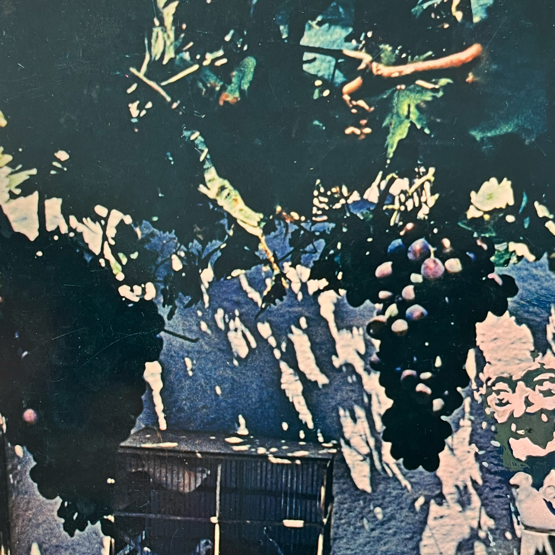 Salvador Dalí und Robert Descharnes - Set of 4 Surreal Photo Collages