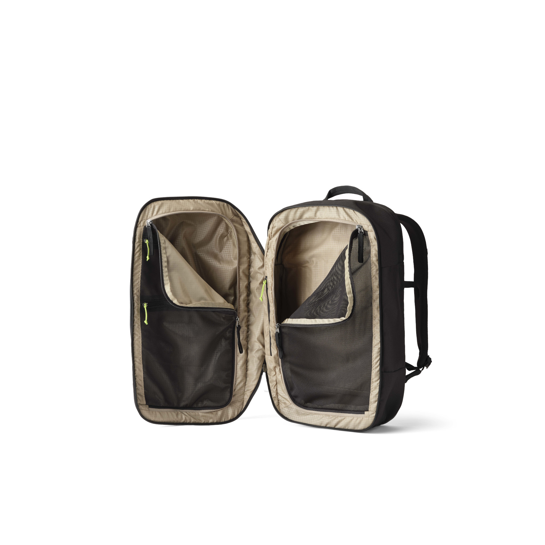 BORDER 30 - BLACK LICHEN