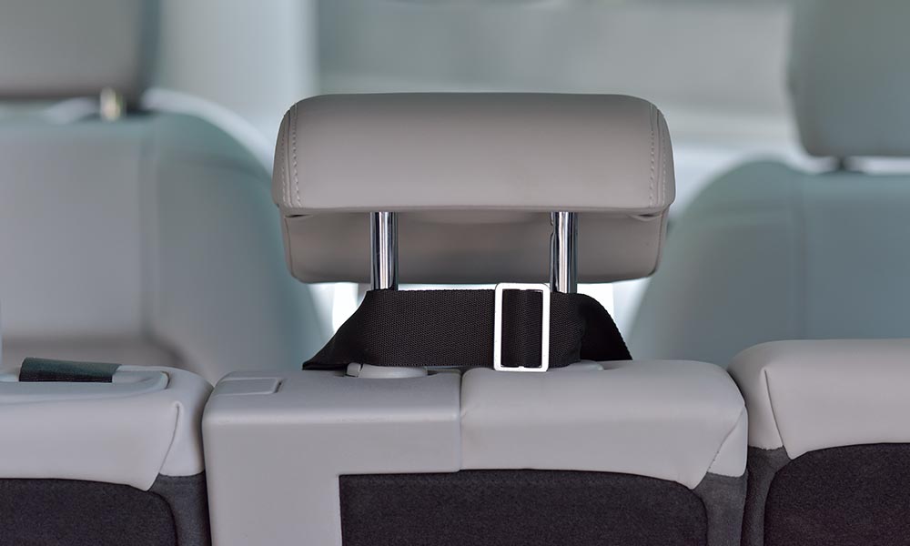 Autotransporter für Hunde mit Sicherheitssystem