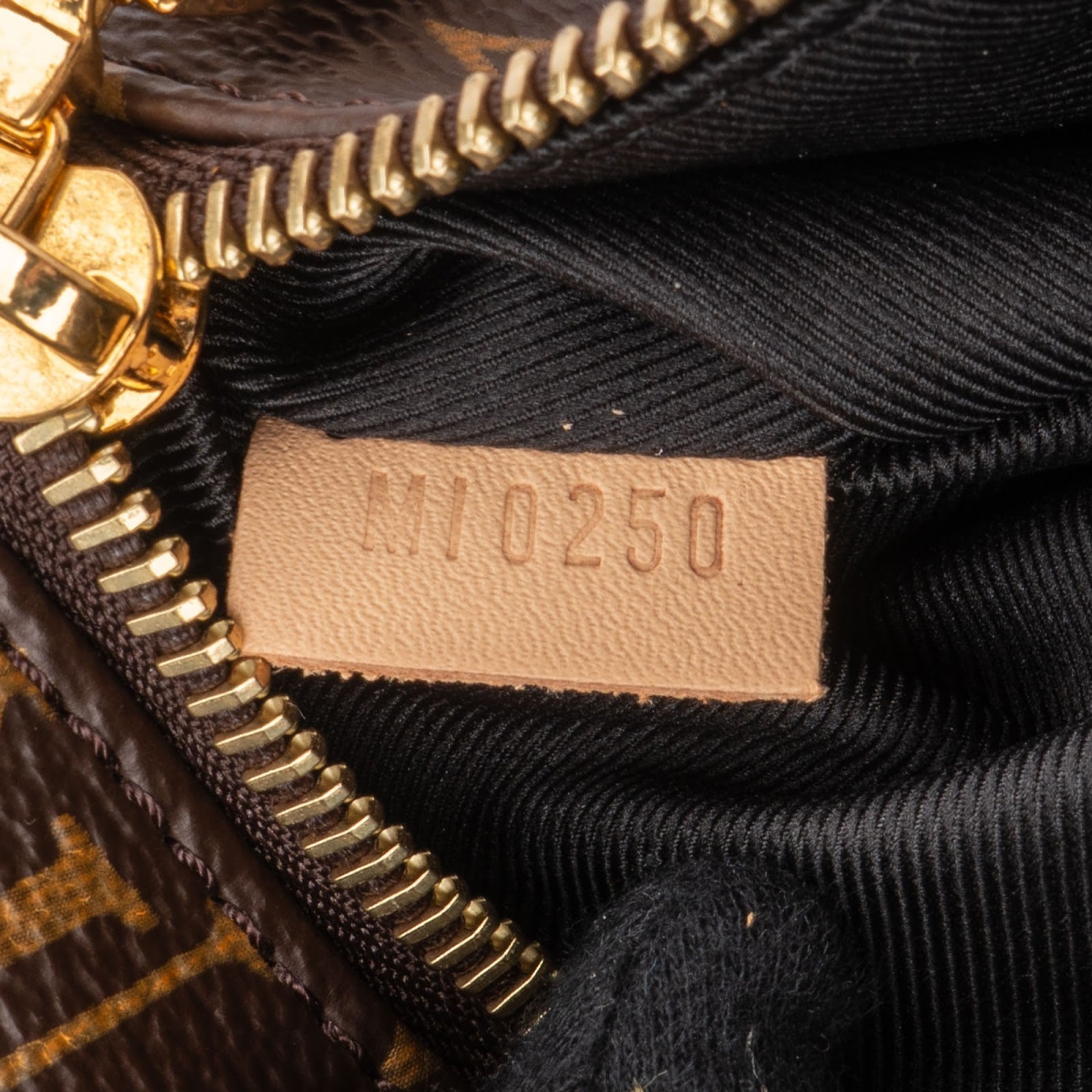Louis Vuitton - Bumbag Crossbody Bag