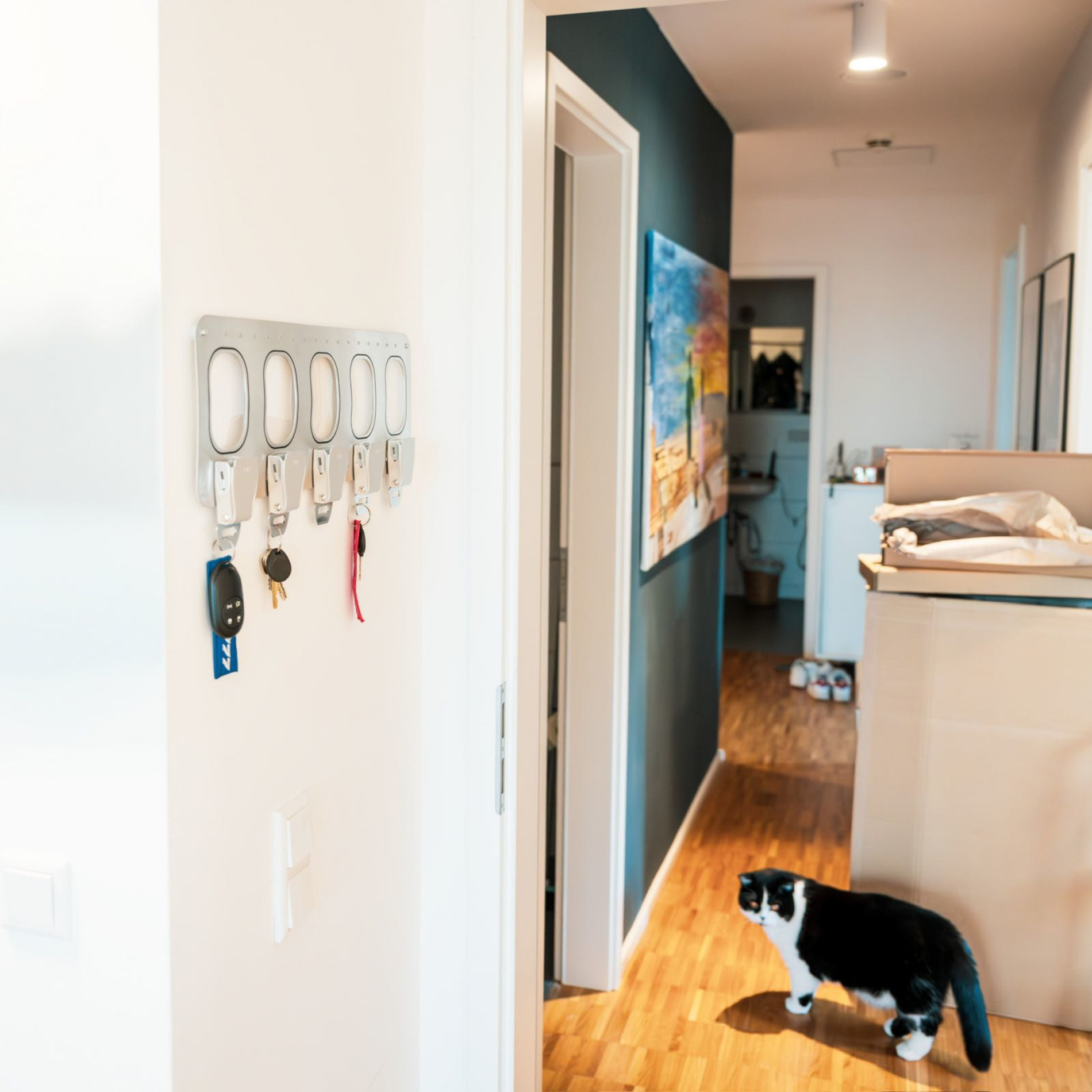 5er Schlüsselhalter - Inklusive Plexiglas Cover