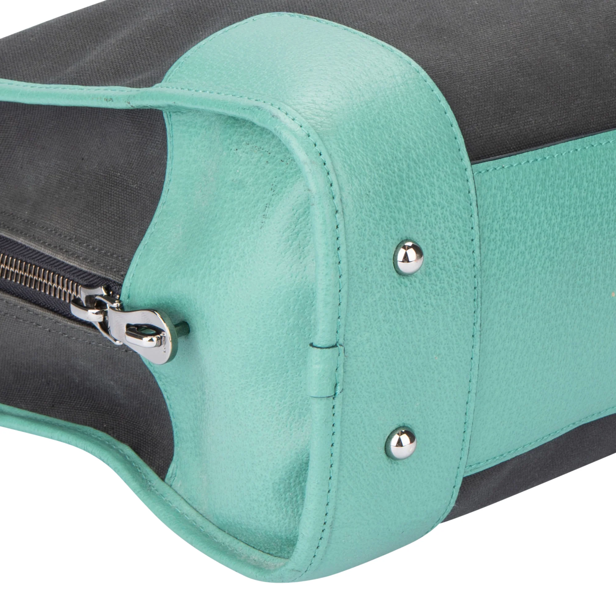 Loewe Bicolor Amazona Handbag