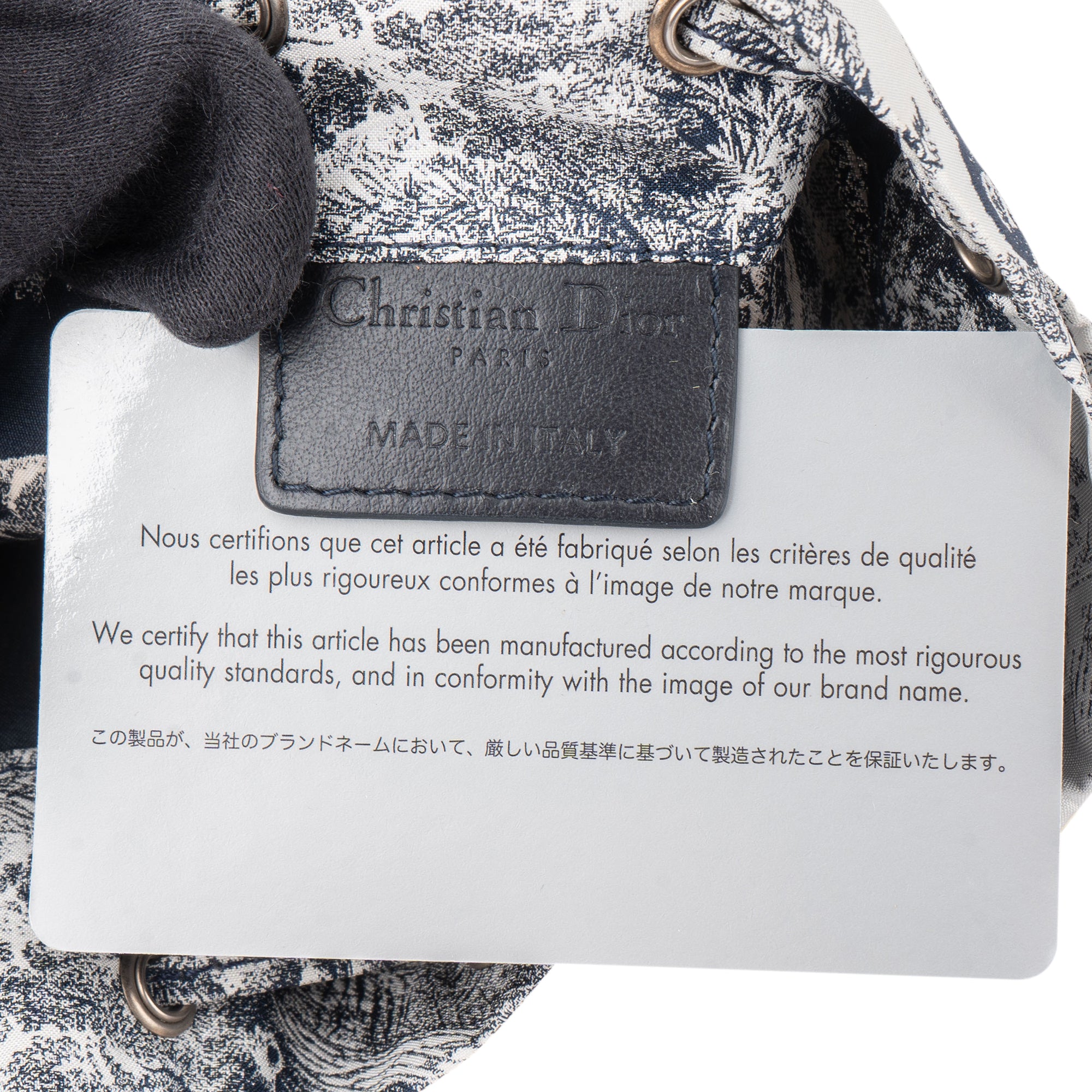 Christian Dior Toile De Jouy Pouch Bag