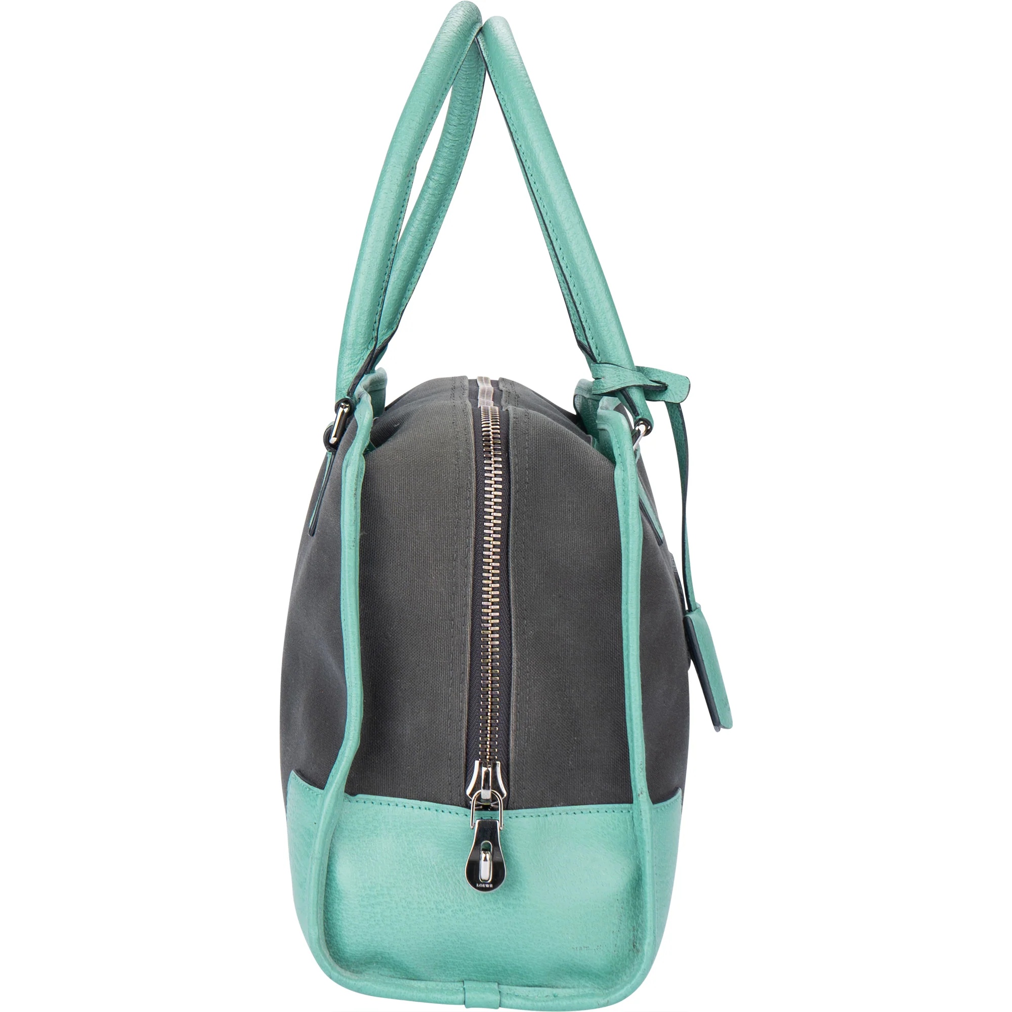 Loewe Bicolor Amazona Handbag