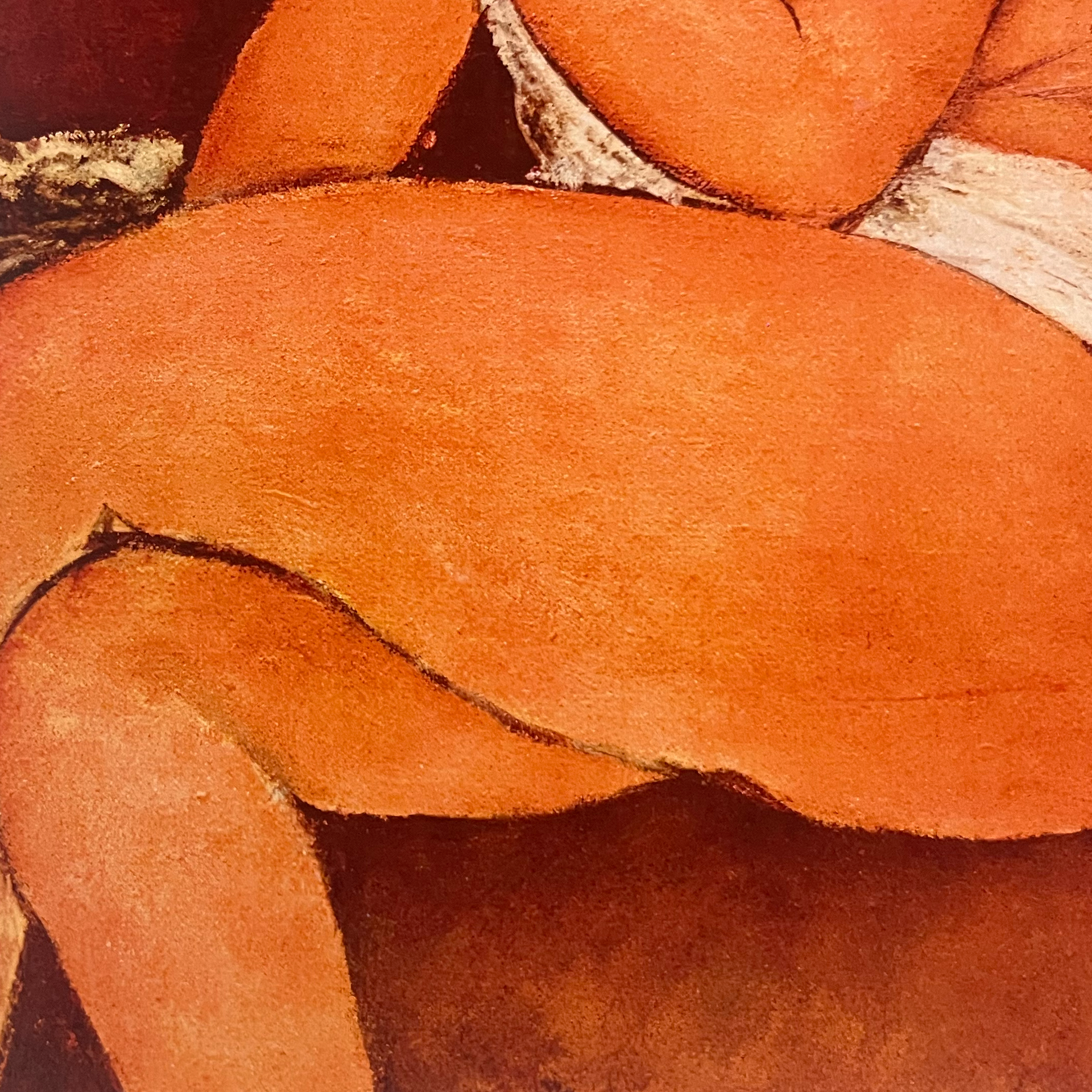 Amedeo Modigliani - Nu couché