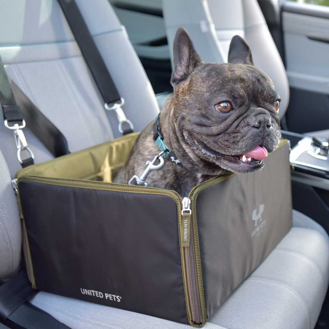 Autotransporter für Hunde mit Sicherheitssystem