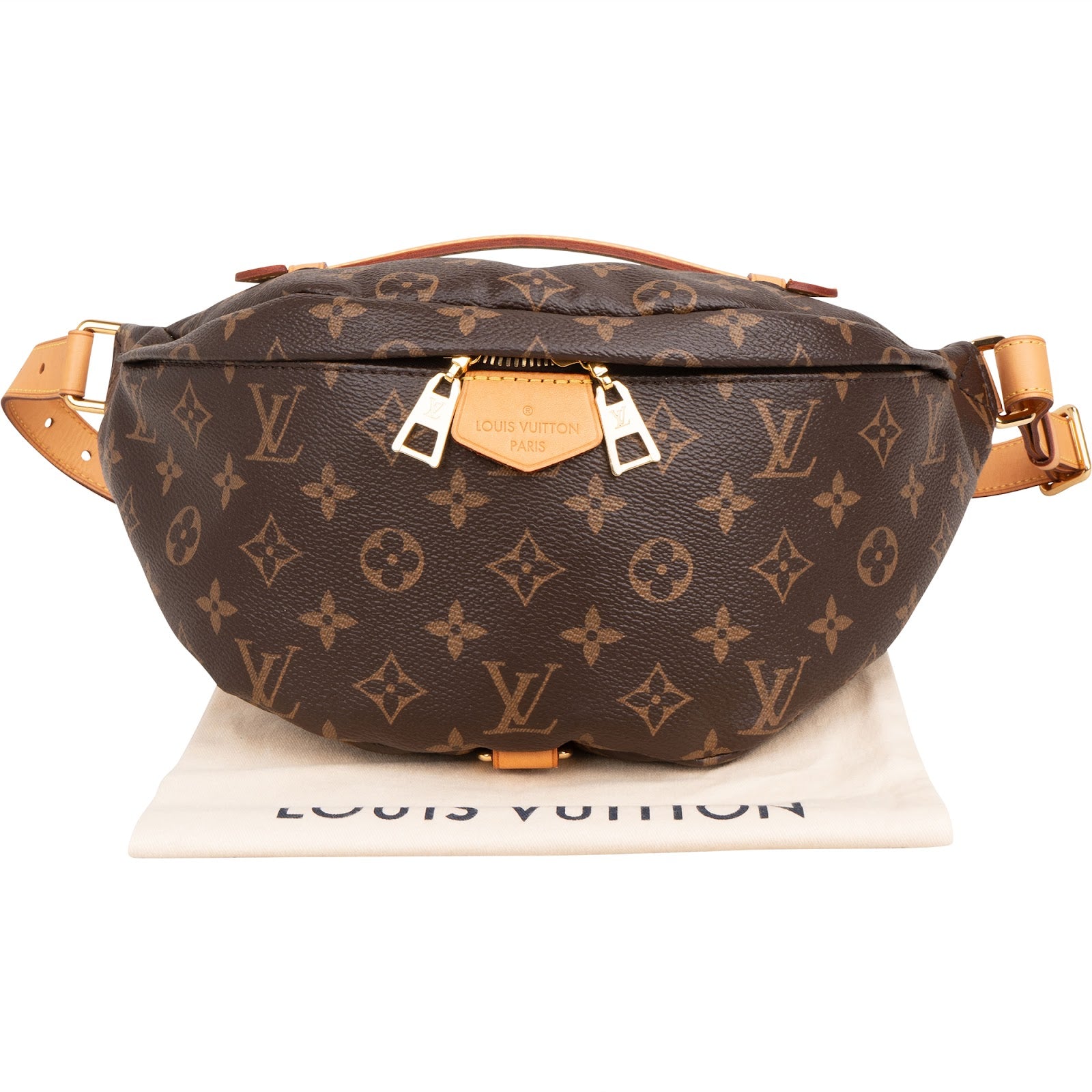 Louis Vuitton - Bumbag Crossbody Bag