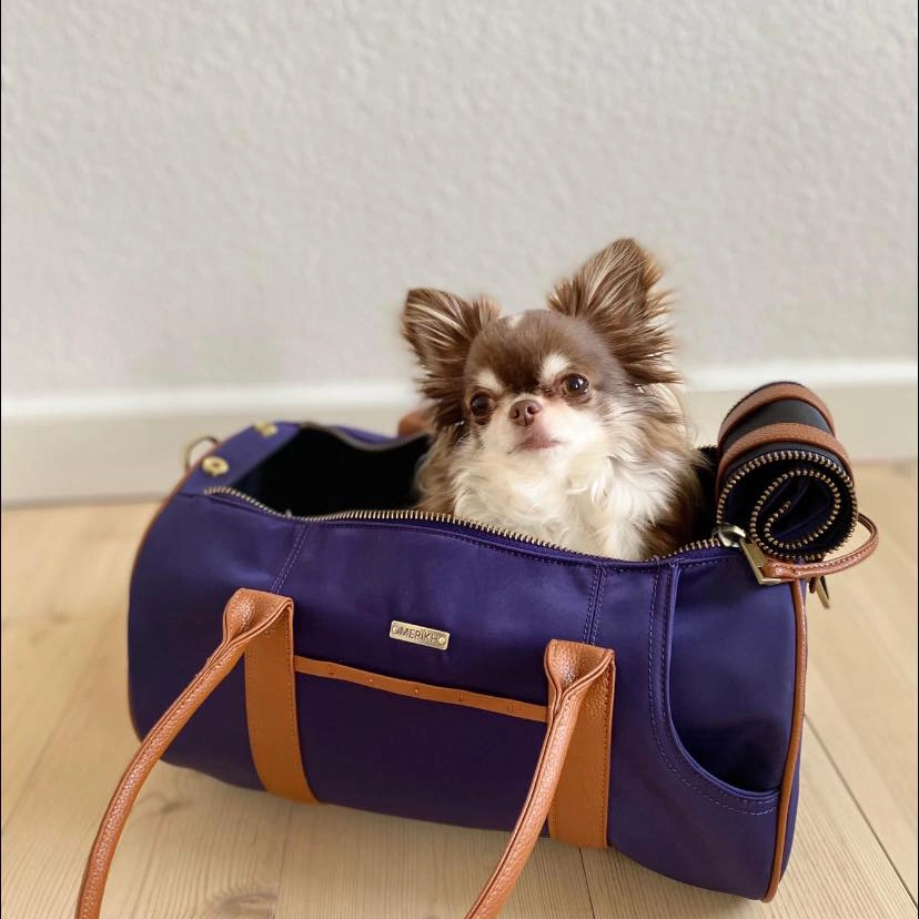 MERÏKH - Tiertransportbox M