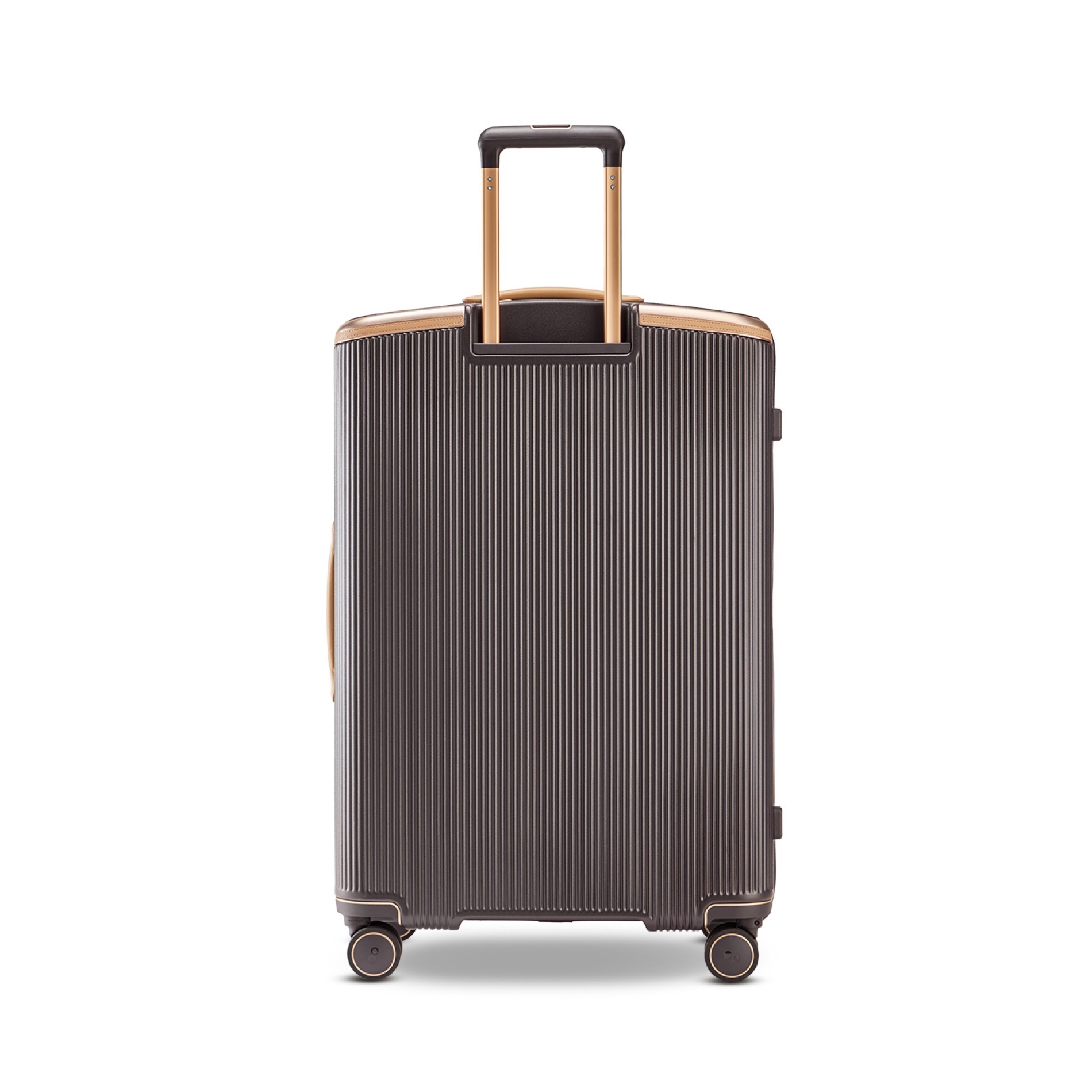 Dynasty VLX™ 3tlg. Kofferset (S/M/L) - Dark Chocolate