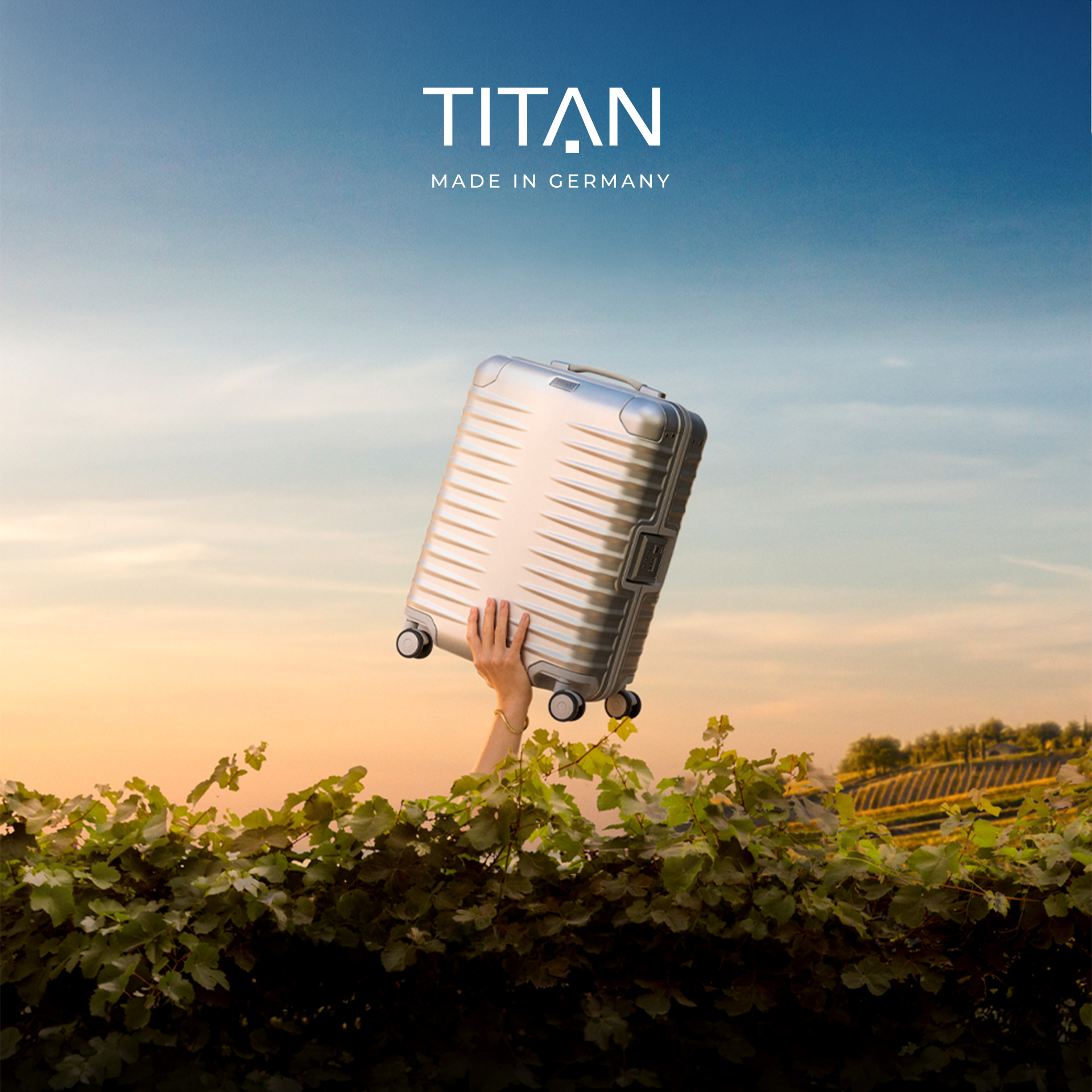 Silberner TITAN Hartschalenkoffer wird über einem Weinberg in die Höhe gehalten, im Hintergrund eine warme Landschaft bei tief stehender Sonne.