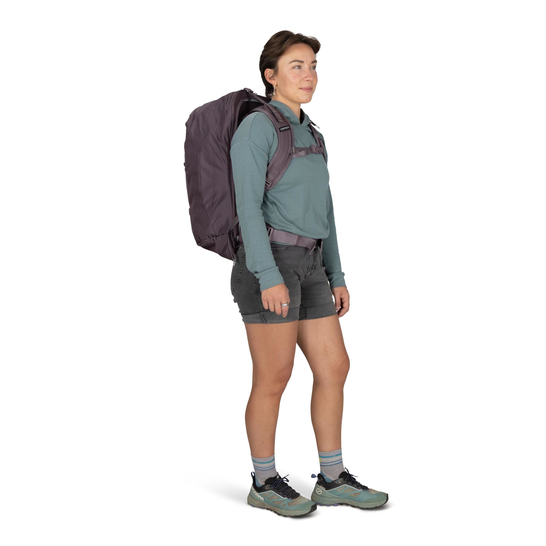 Fairview 40 - Graphite Purple