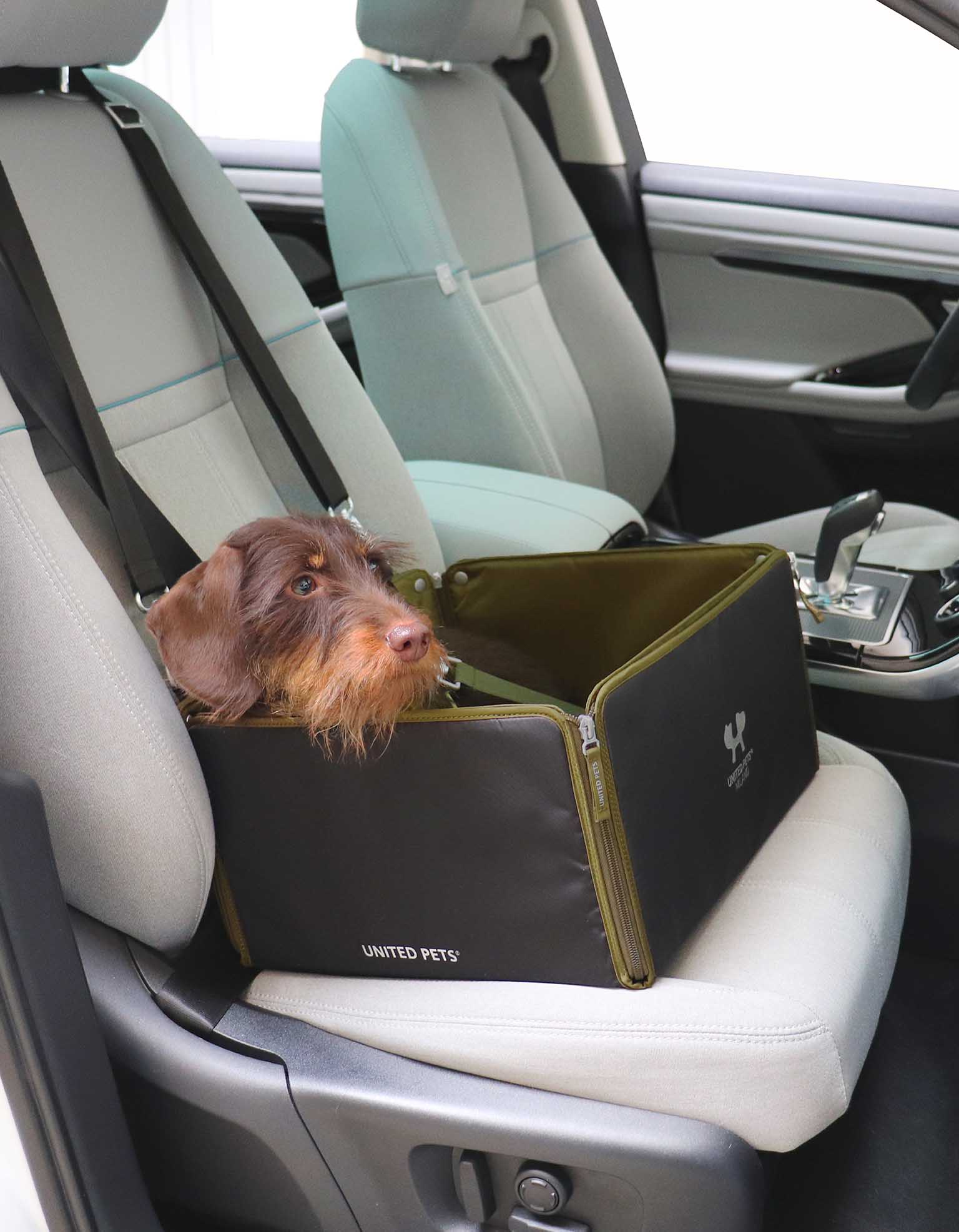 Autotransporter für Hunde mit Sicherheitssystem