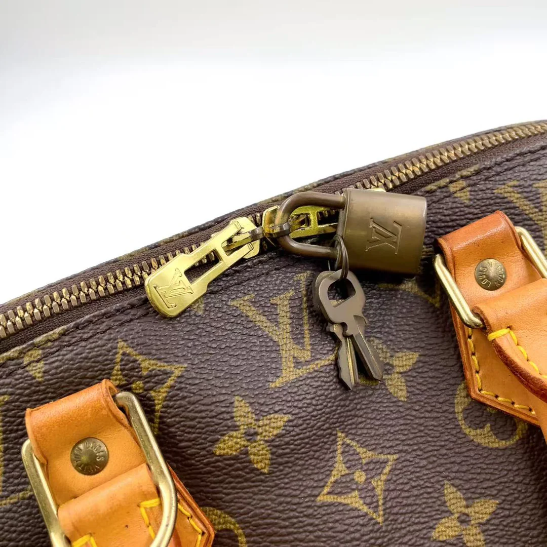 Louis Vuitton Alma Handbag