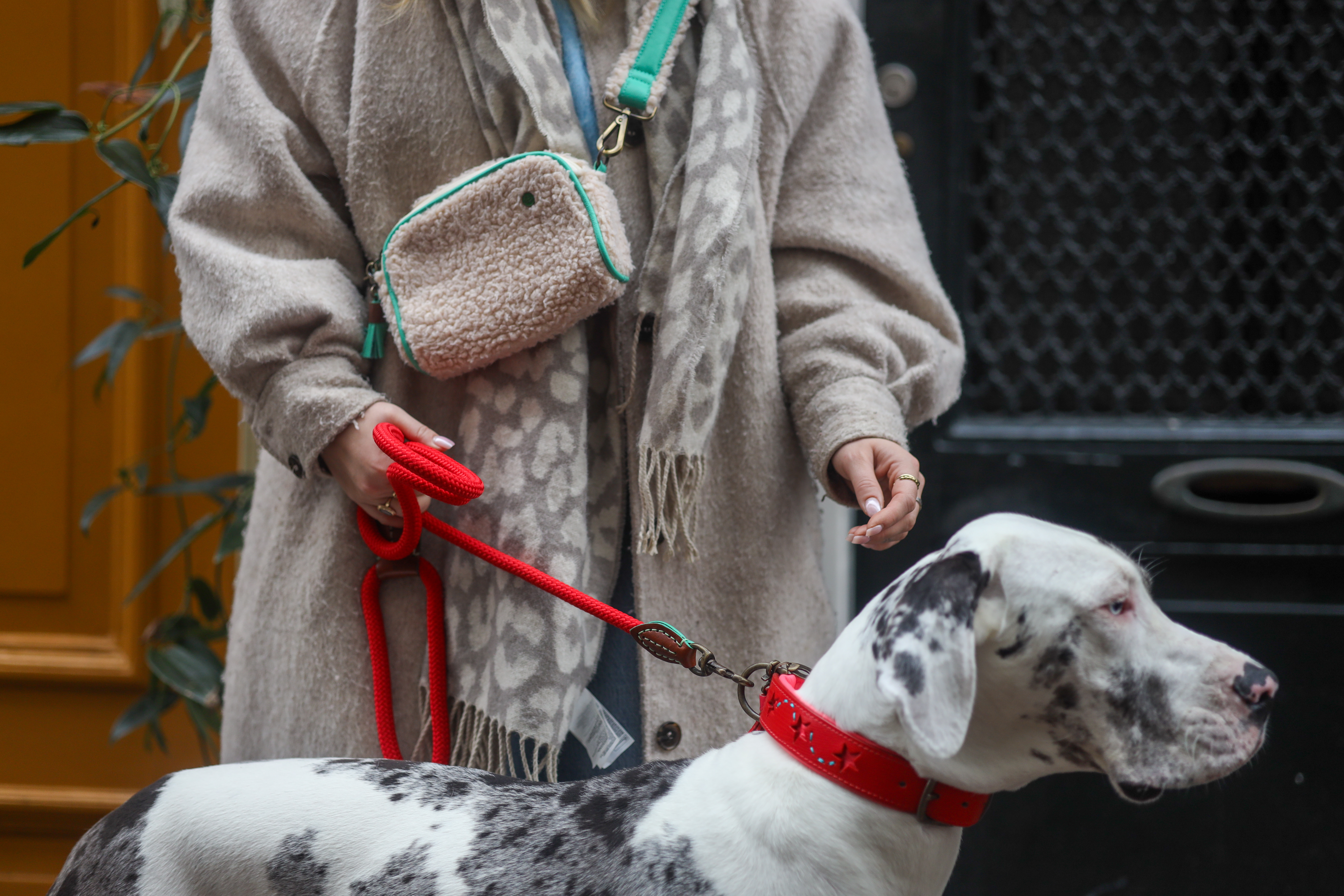 Walk the dog crossbody bag