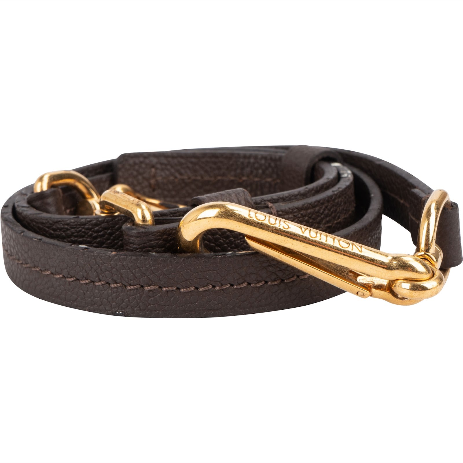 Louis Vuitton Taiga Leather Adjustable Lumineuse Bags Strap