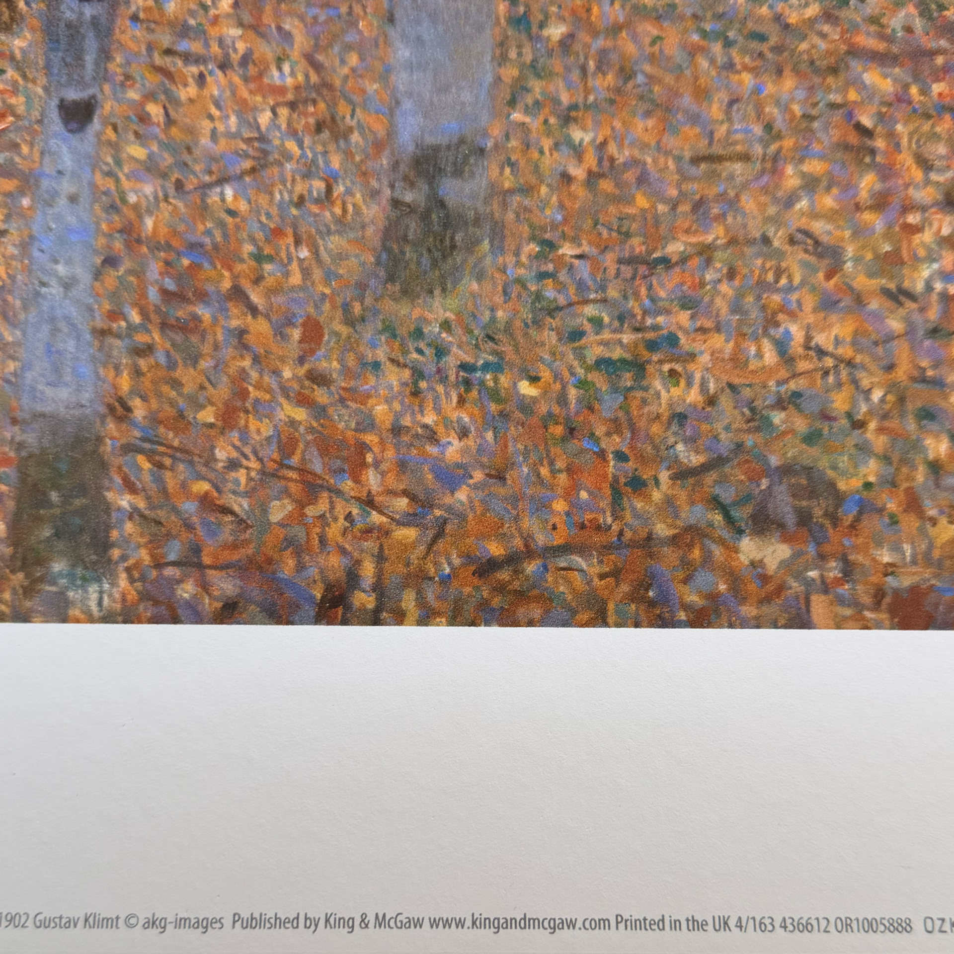 Gustav Klimt  - Beech Forest I