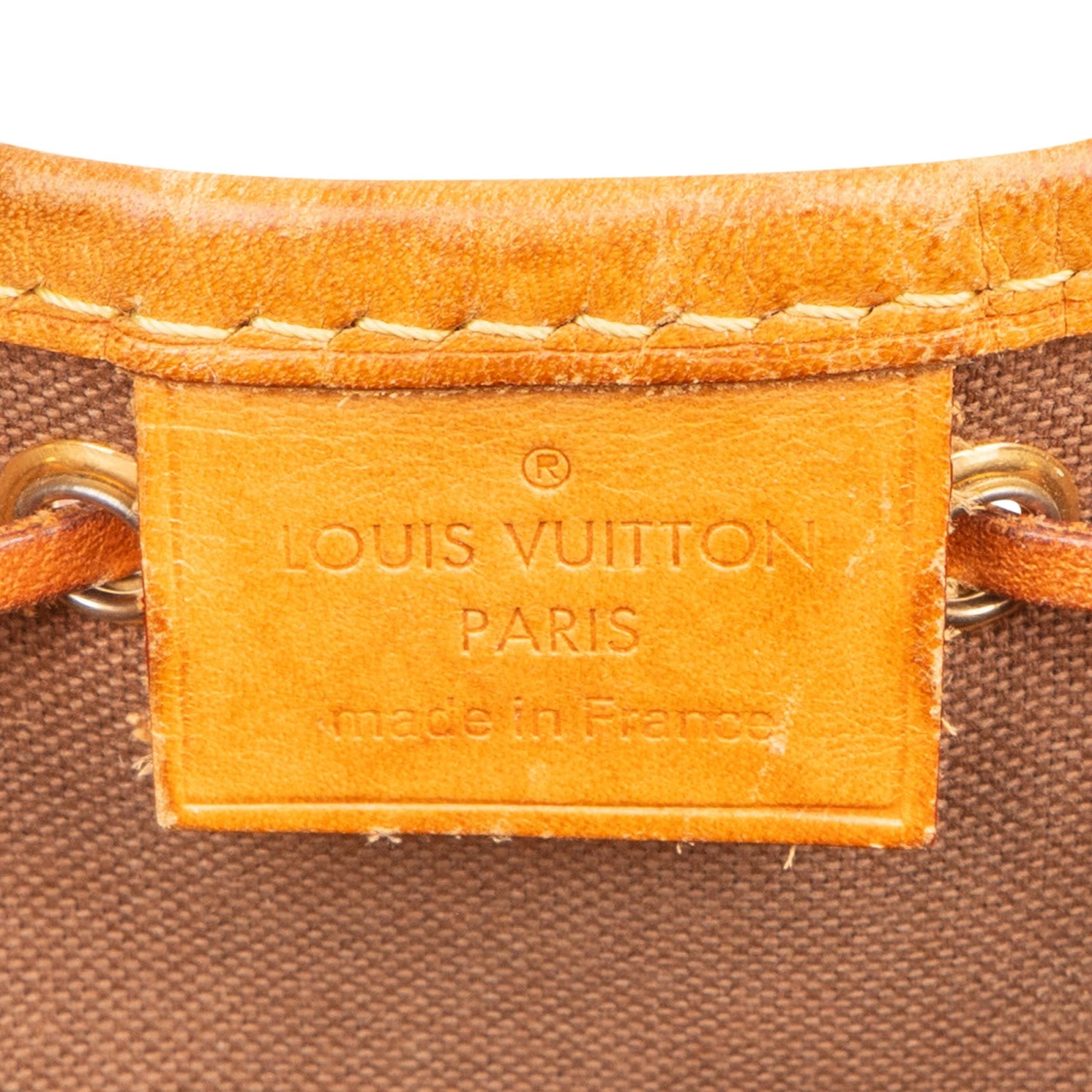 Louis Vuitton Monogram Canvas Nano Noe Crossbody Bag