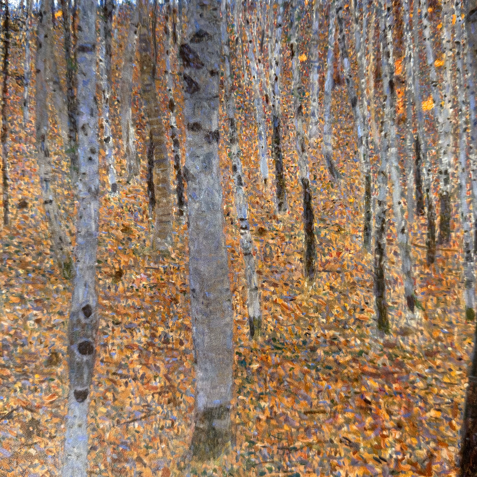 Gustav Klimt  - Beech Forest I
