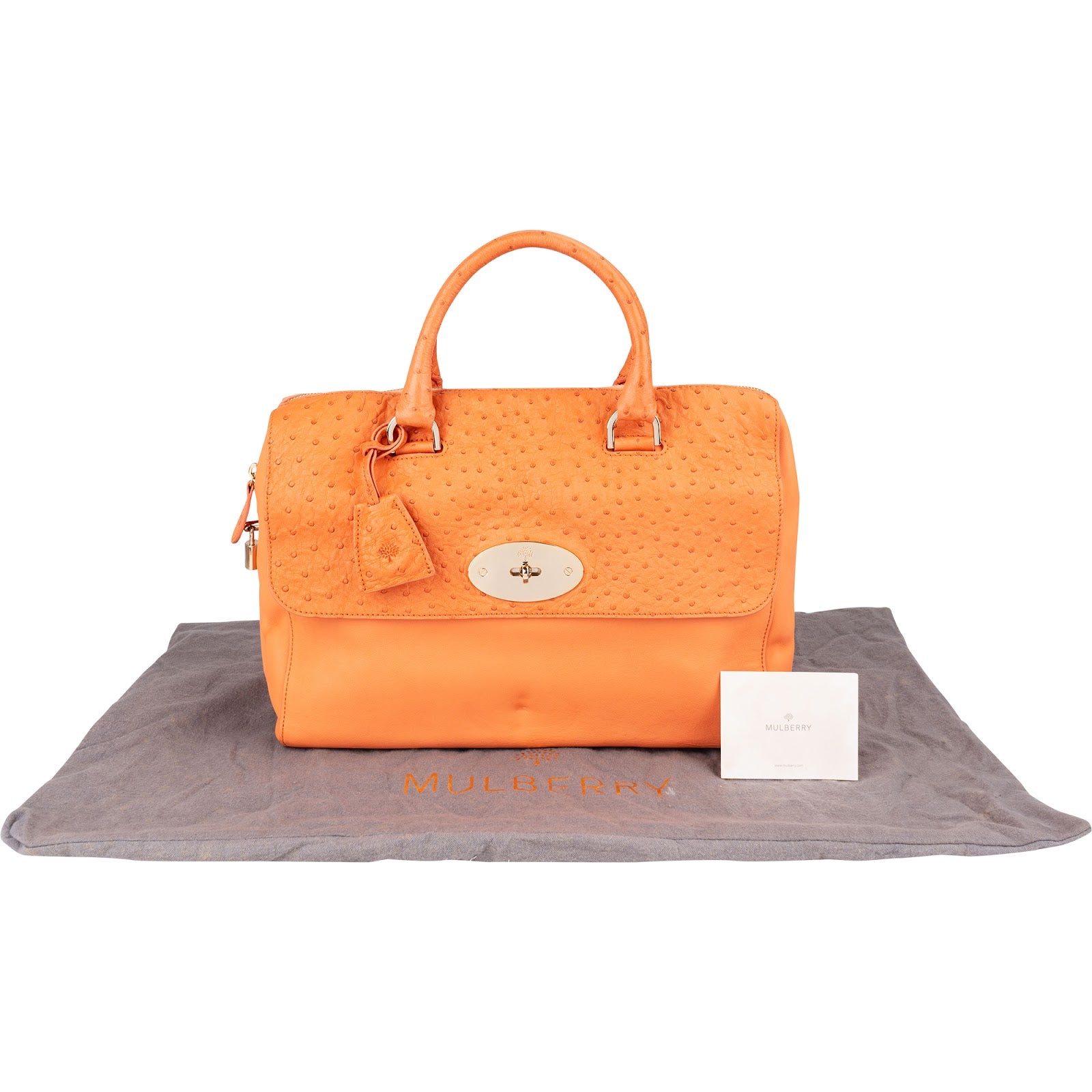 Mulberry - Bayswater Handbag