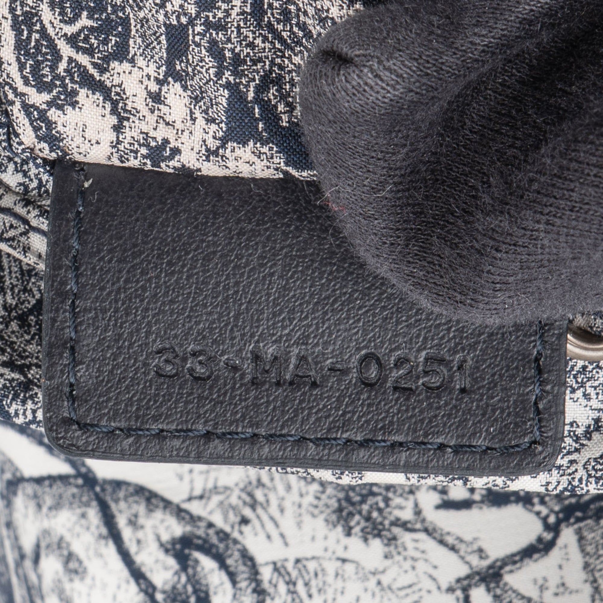 Christian Dior Toile De Jouy Pouch Bag