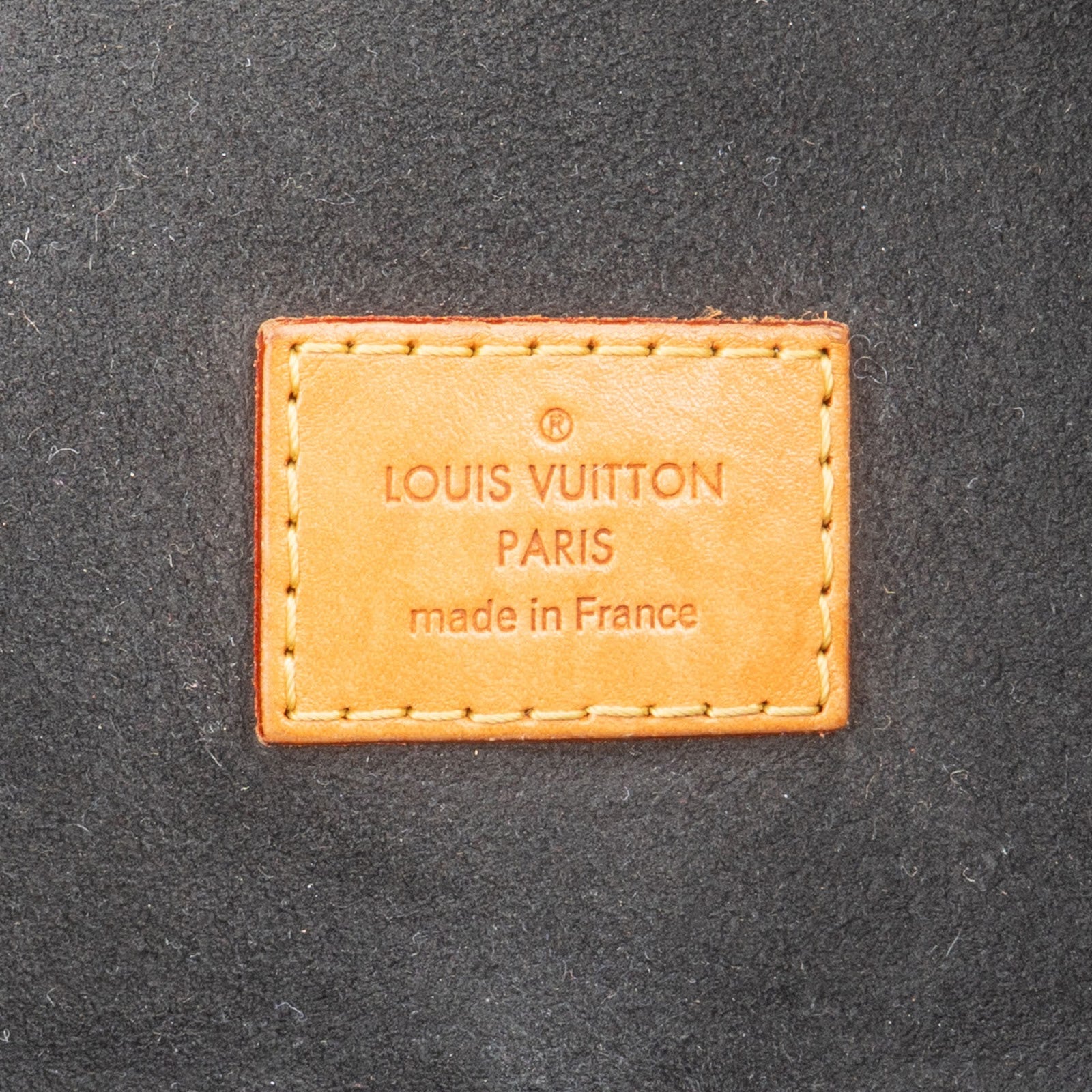 Louis Vuitton Monogram Canvas Gaia Handbag