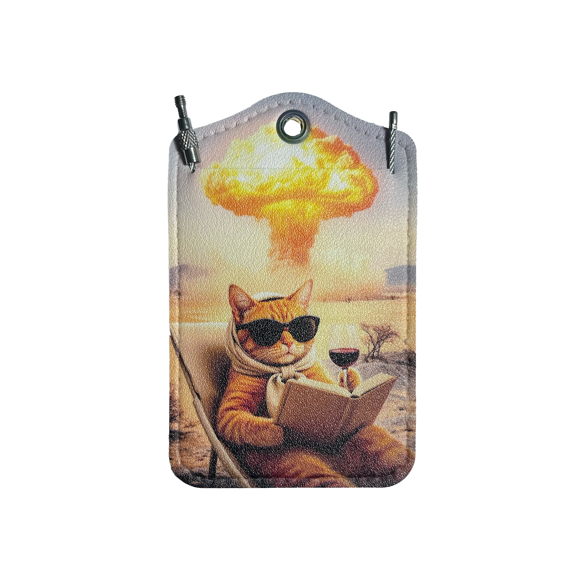 Katze am Strand