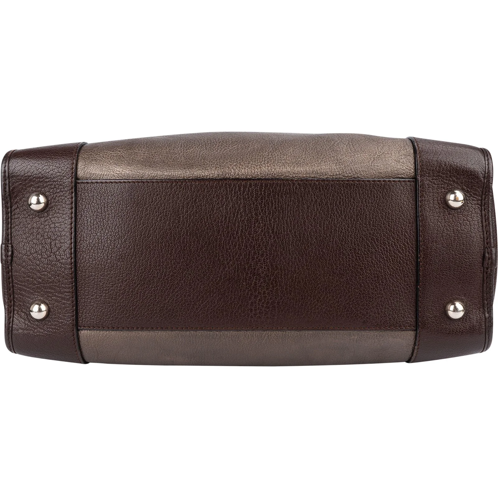 Loewe Tricolor Leather Amazona Handbag