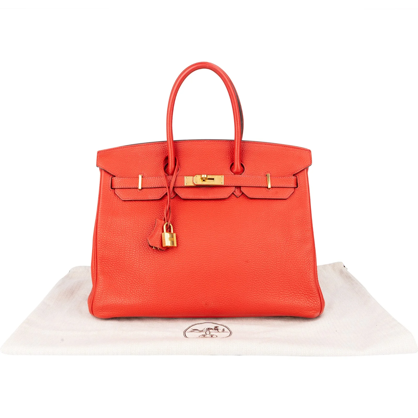Hermès Rouge Fjord Leather Birkin 35 Handbag