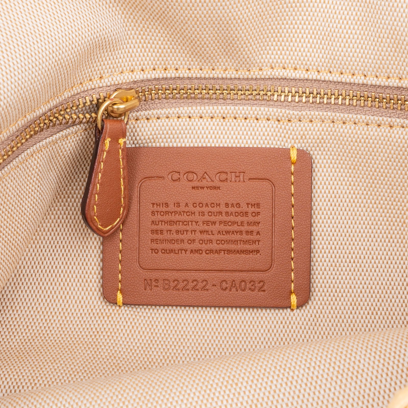 Coach Raffia Soft Tabby Crossbody Bag