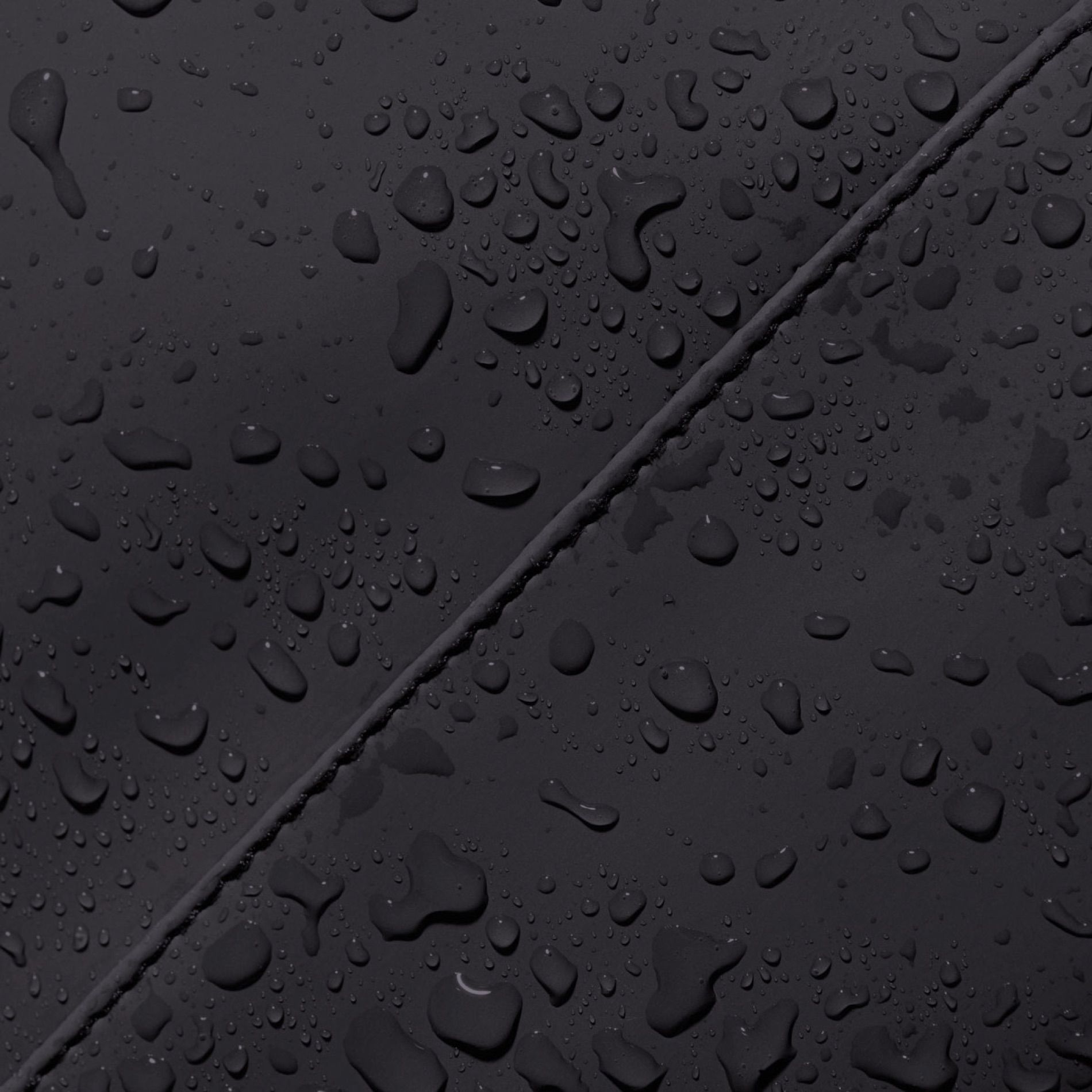 Jannik Mini Lotus Infinity - Black