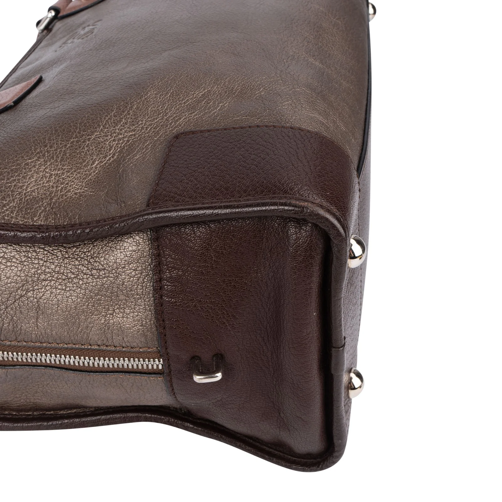 Loewe Tricolor Leather Amazona Handbag