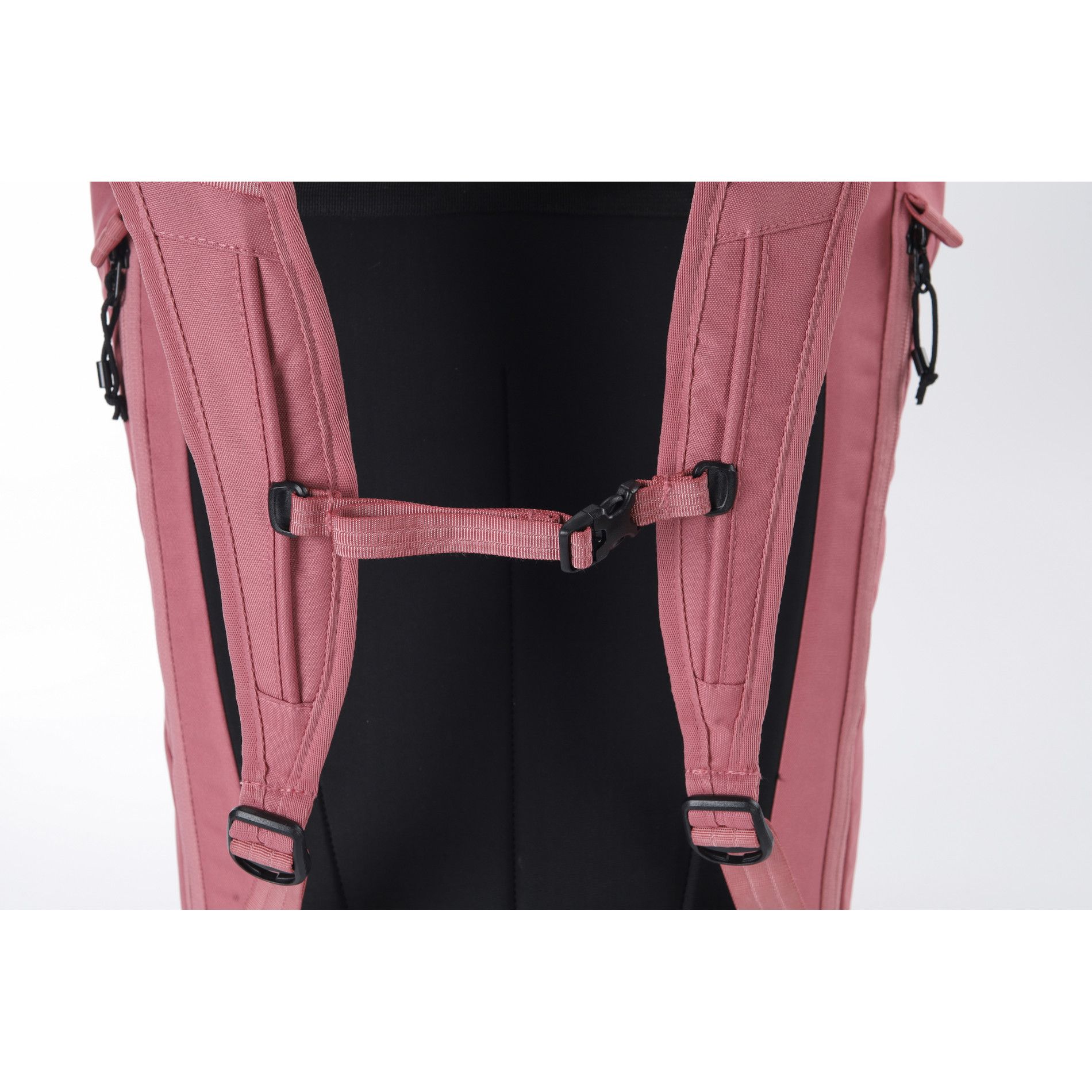 Rolltop Cosmo - WOODROSE