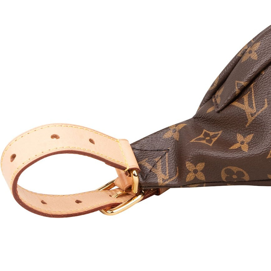 Louis Vuitton - Bumbag Crossbody Bag