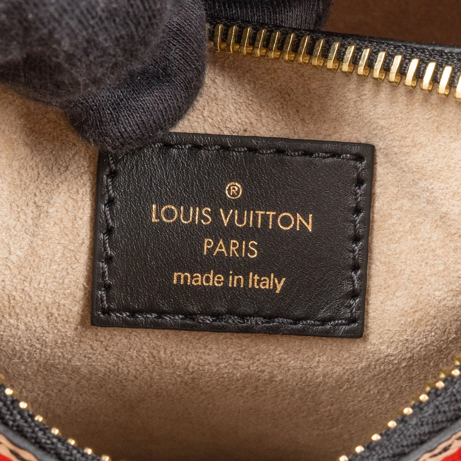 Louis Vuitton Monogram LV Crafty NéoNoé Crossbody Bag