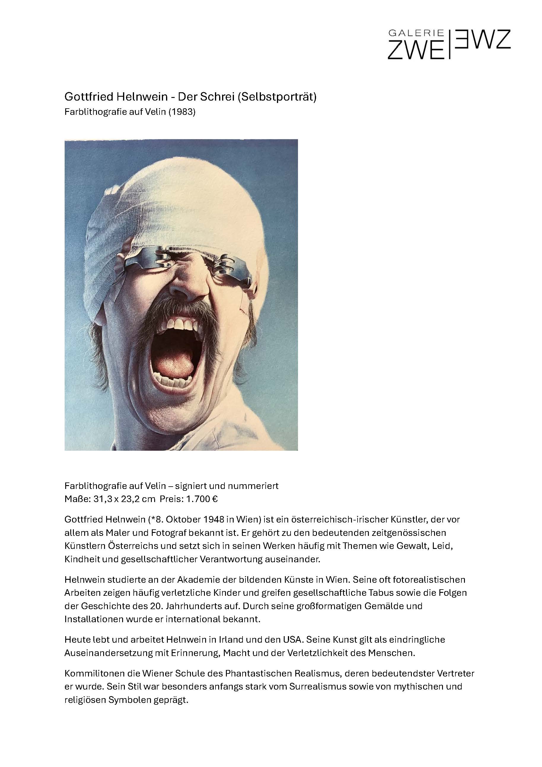 Gottfried Helnwein - Der Schrei (Selbstporträt)