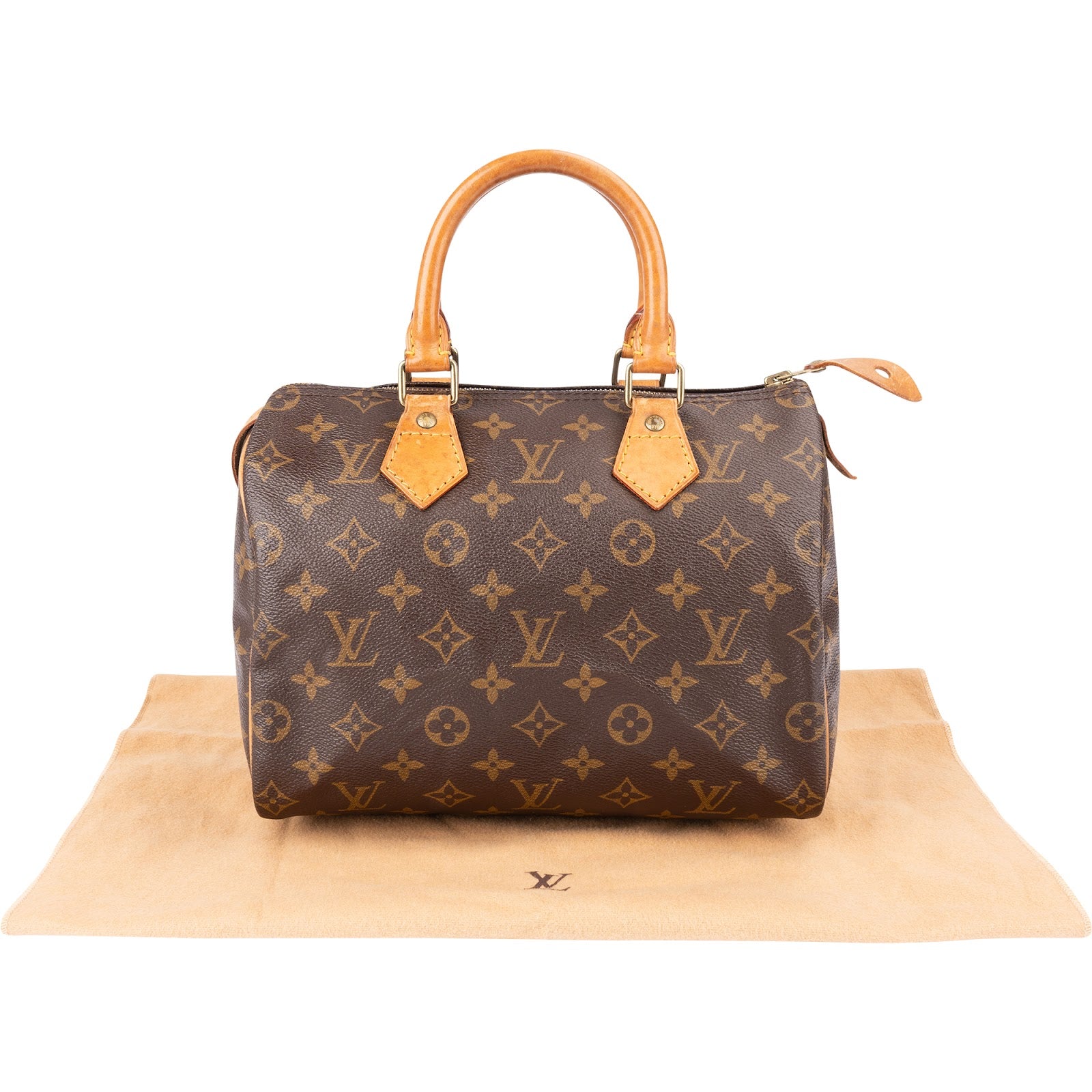 Louis Vuitton - Speedy 25 Boston Bag