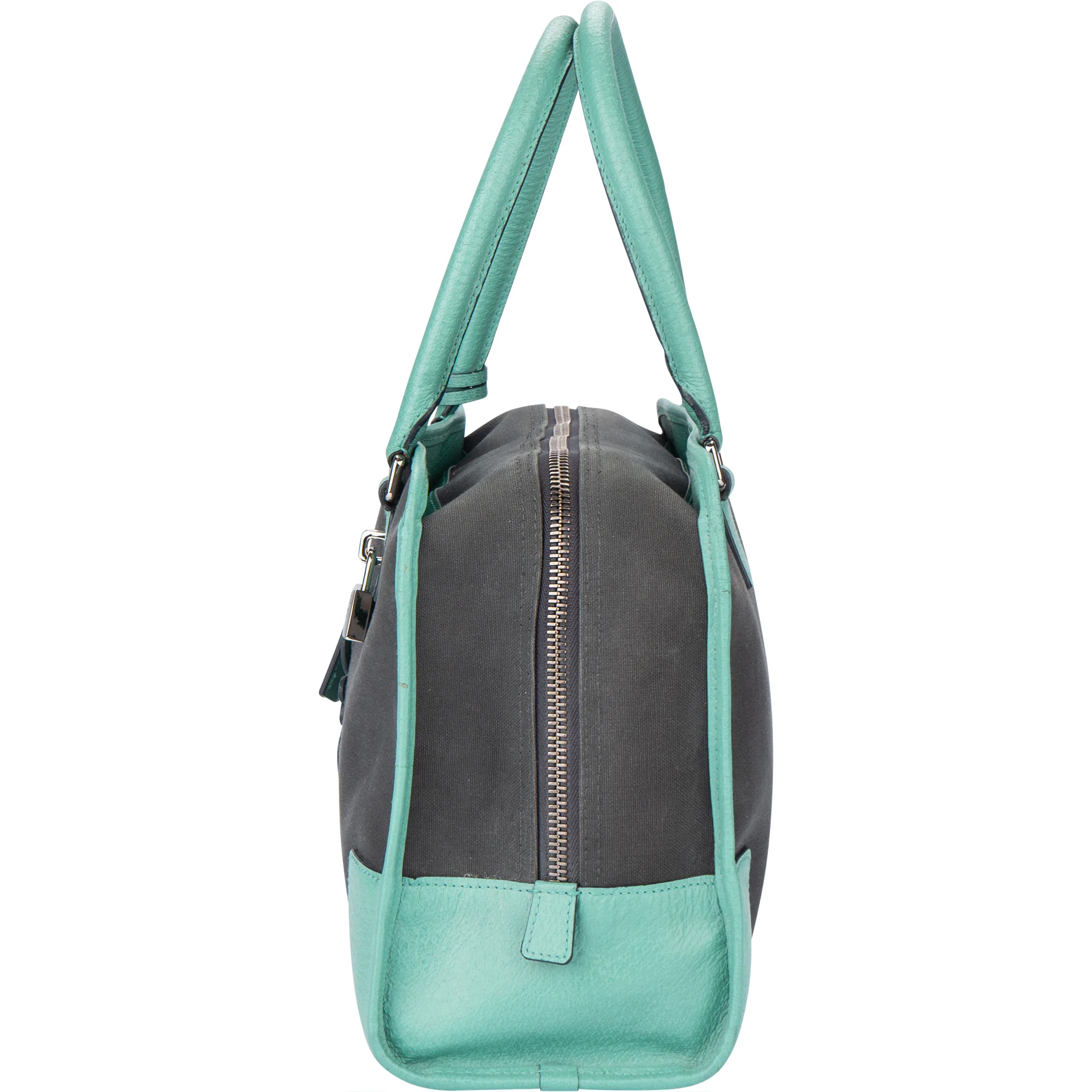 Loewe Bicolor Amazona Handbag